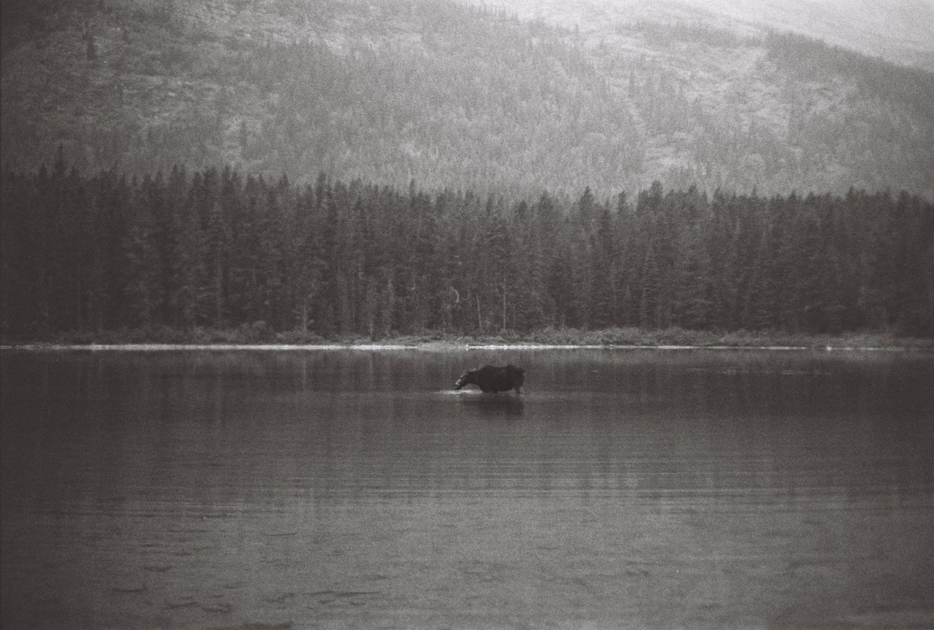 Atanaskovs001298-R1-E005.jpg