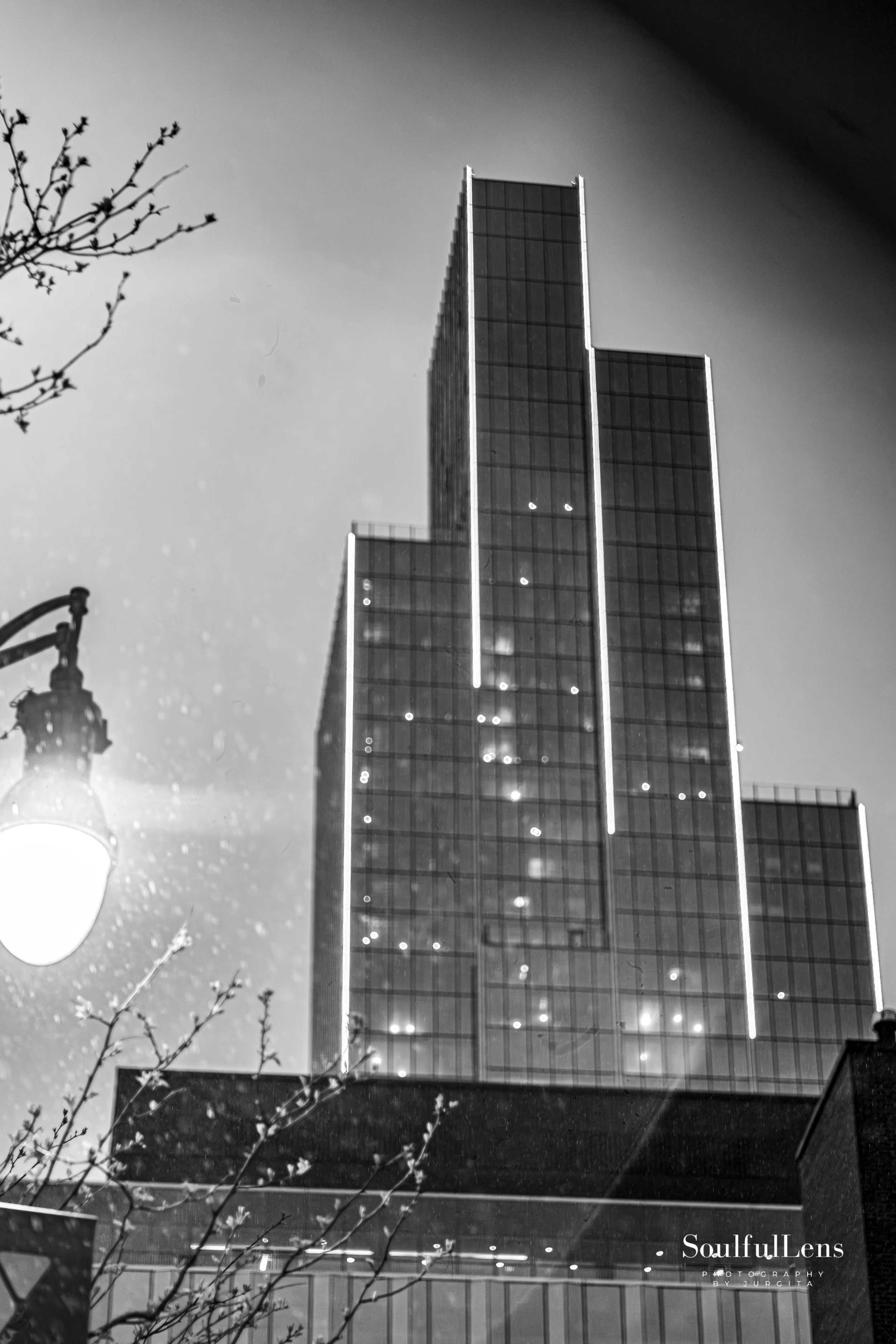 Untitled-45.jpg