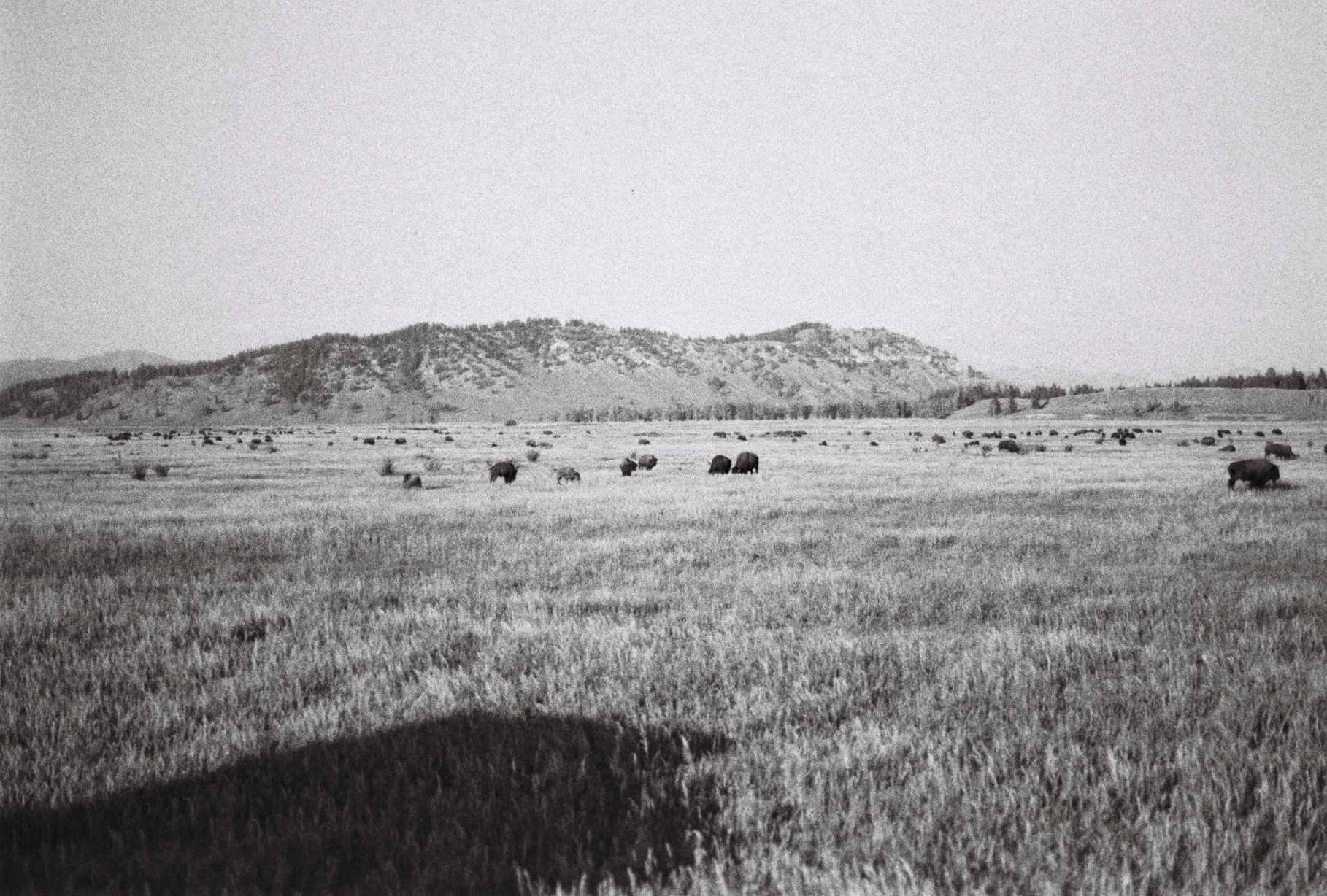 Atanaskovs001297-R1-E016.jpg