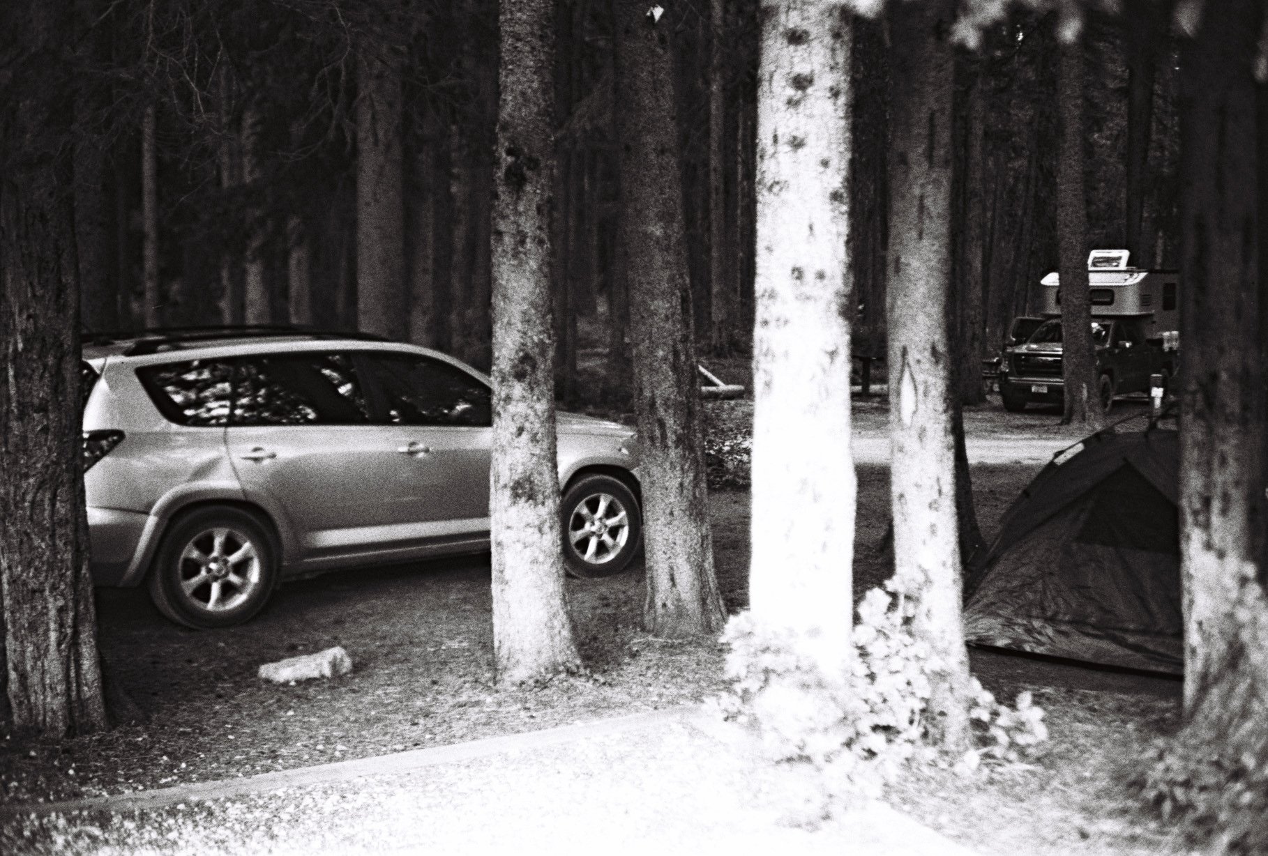 Atanaskovs001299-R1-E014.jpg