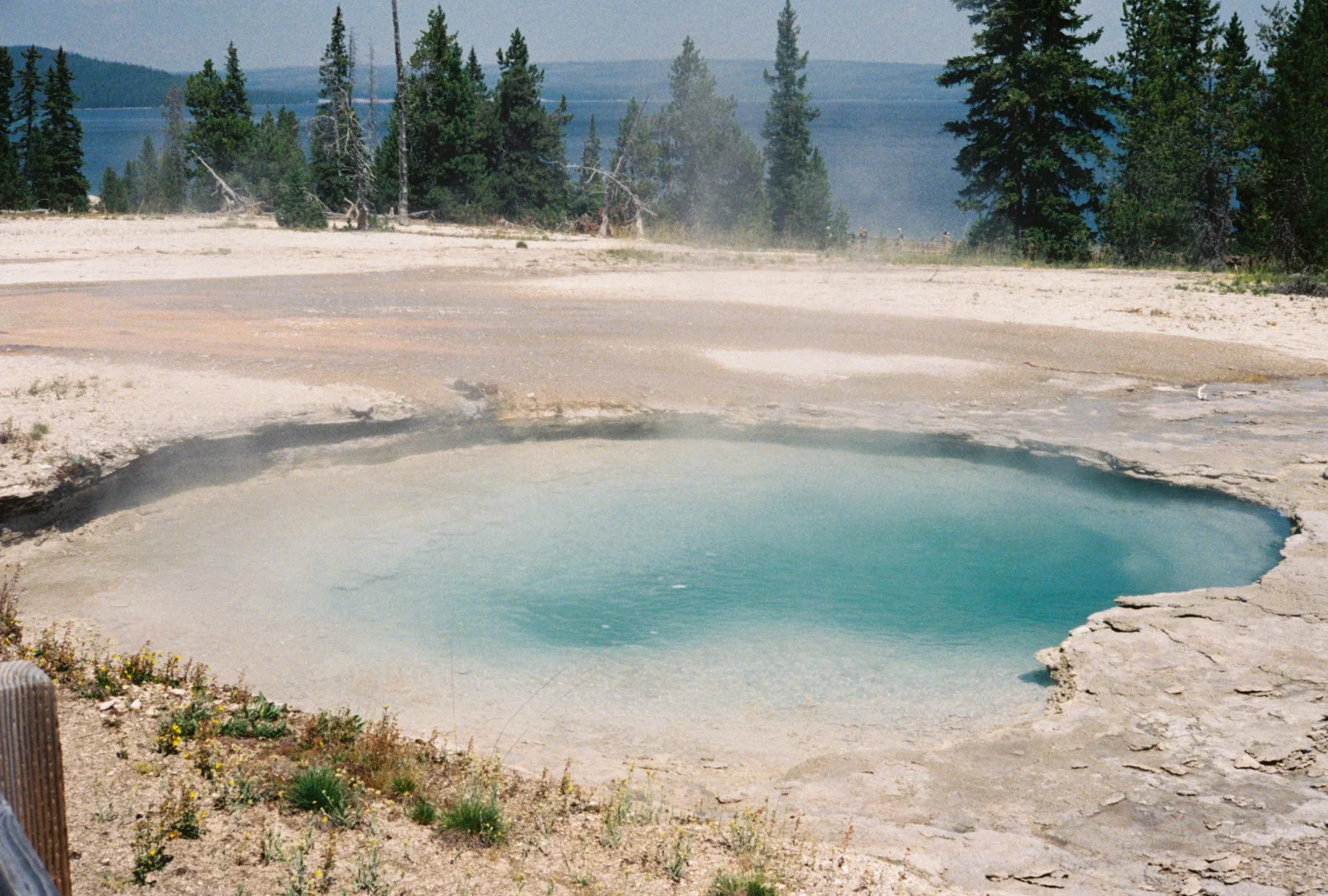 Atanaskovs002495-R1-049-23.jpg