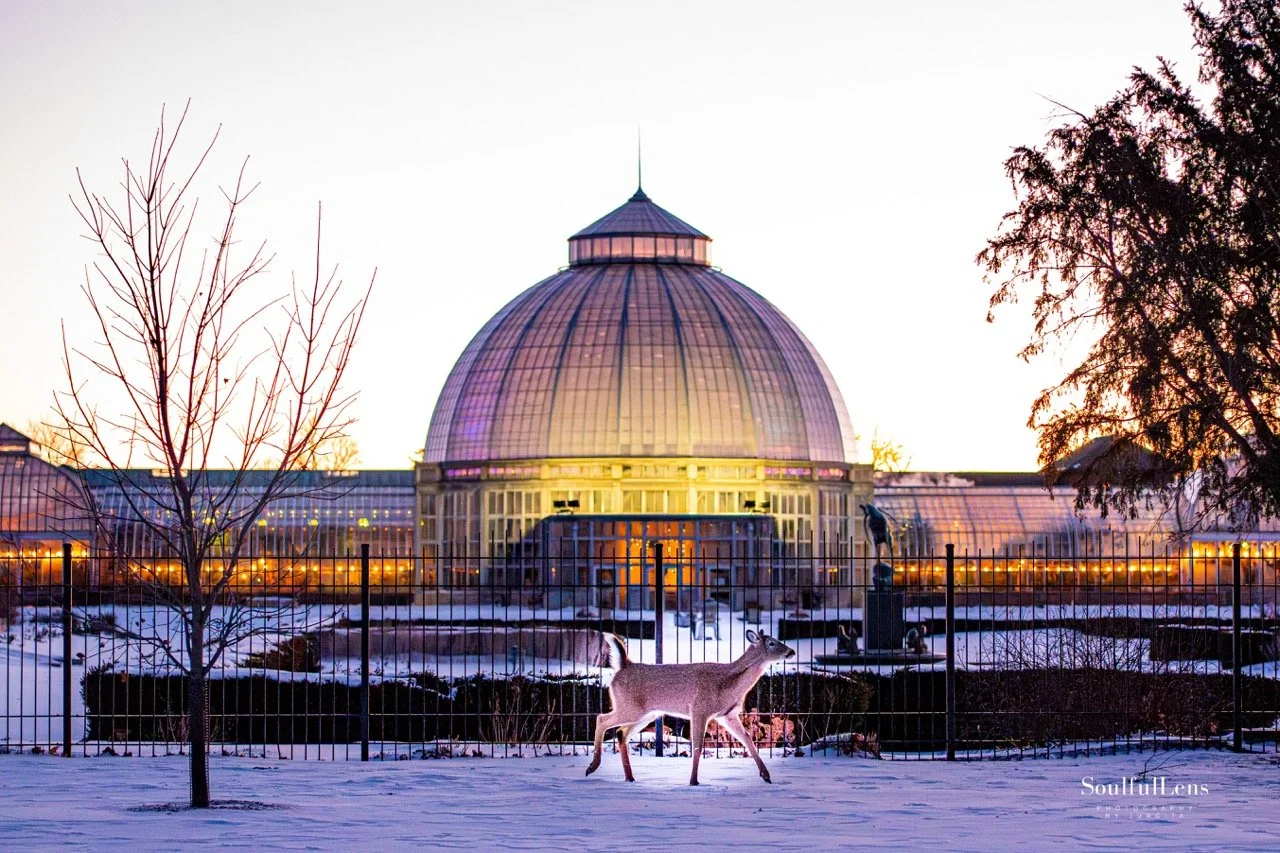 Soulfullens by Gita-161 Large.jpeg