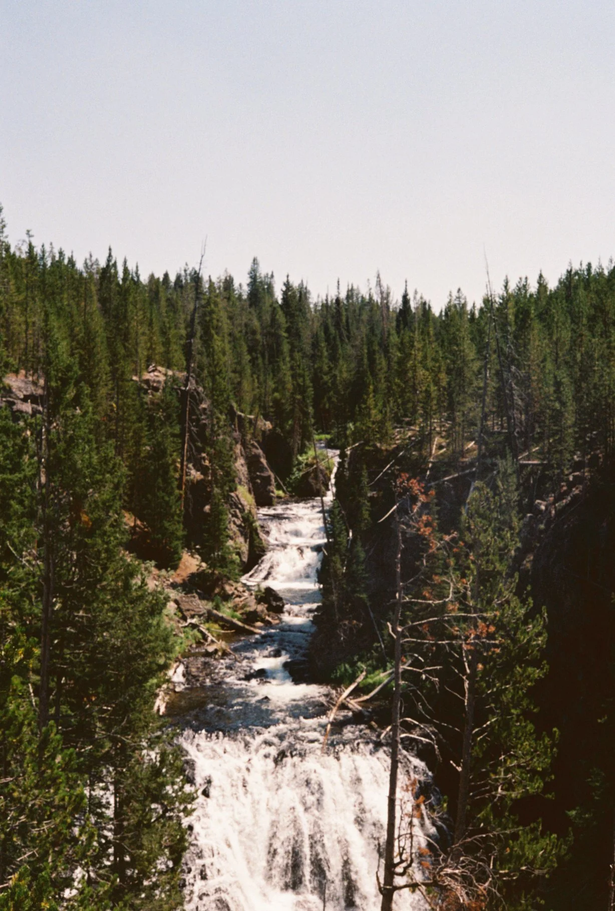 Atanaskovs002495-R1-051-24.jpg