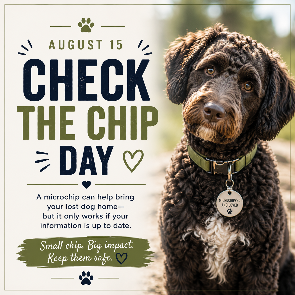 Check the Chip Day 
