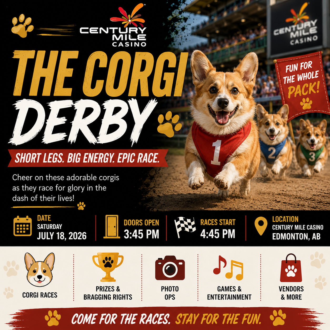 The Corgi Derby at Century Mile