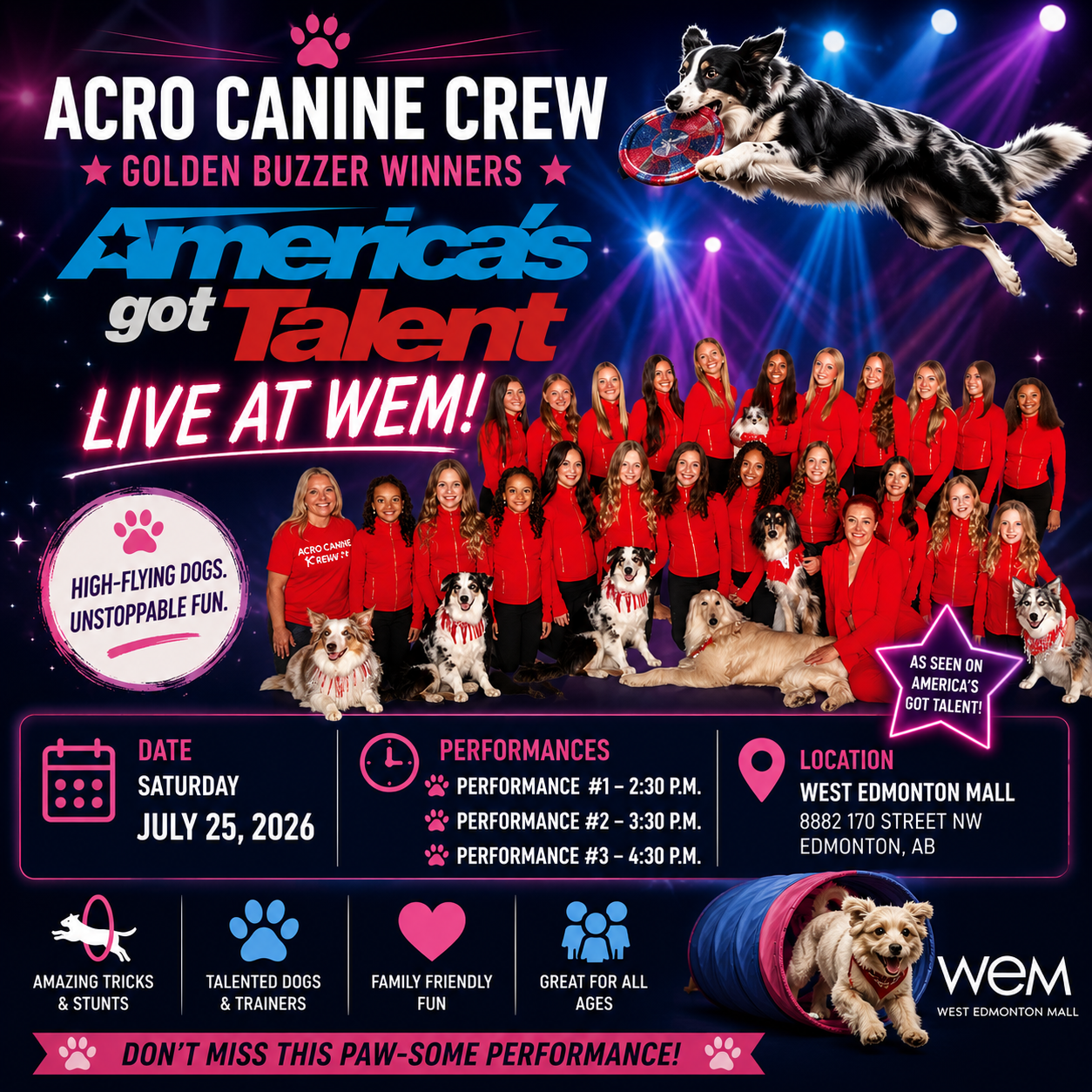 Acro Canine Crew — Live at West Edmonton Mall