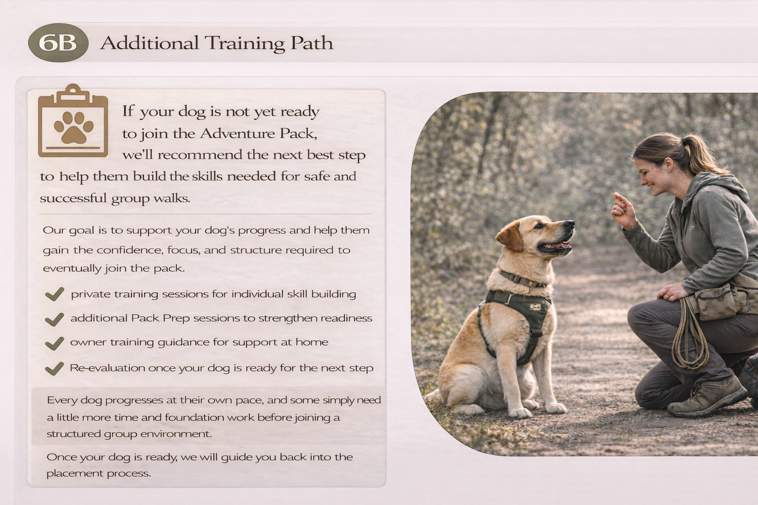 A woman kneeling and smiling at a sitting Labrador Retriever wearing a harness outdoors, with a background of trees.