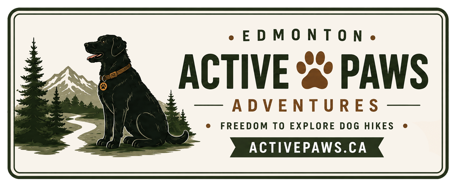 Active Paws Edmonton