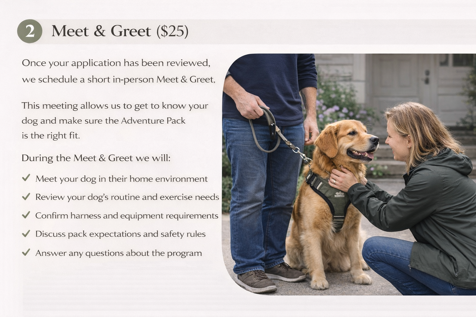 A woman squatting and petting a golden retriever dog in a harness, smiling, while a man standing nearby holds the leash, the background shows a house and garden.