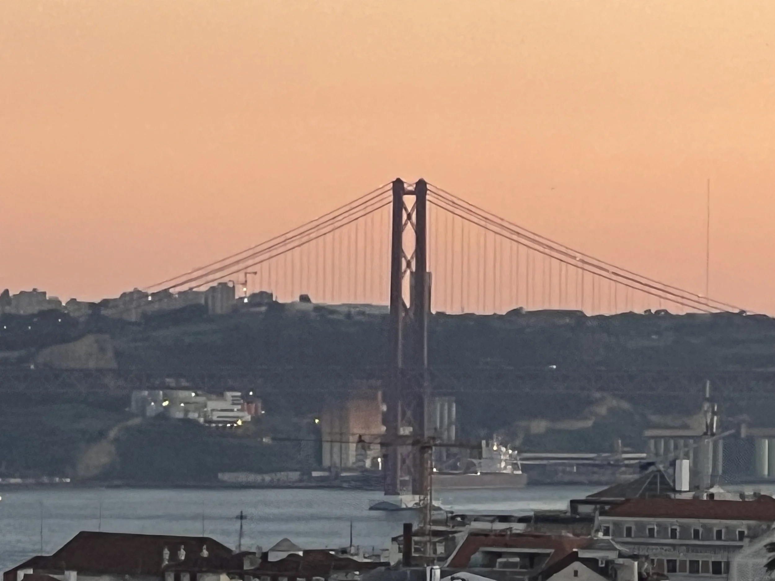 IMG_8131.jpeg