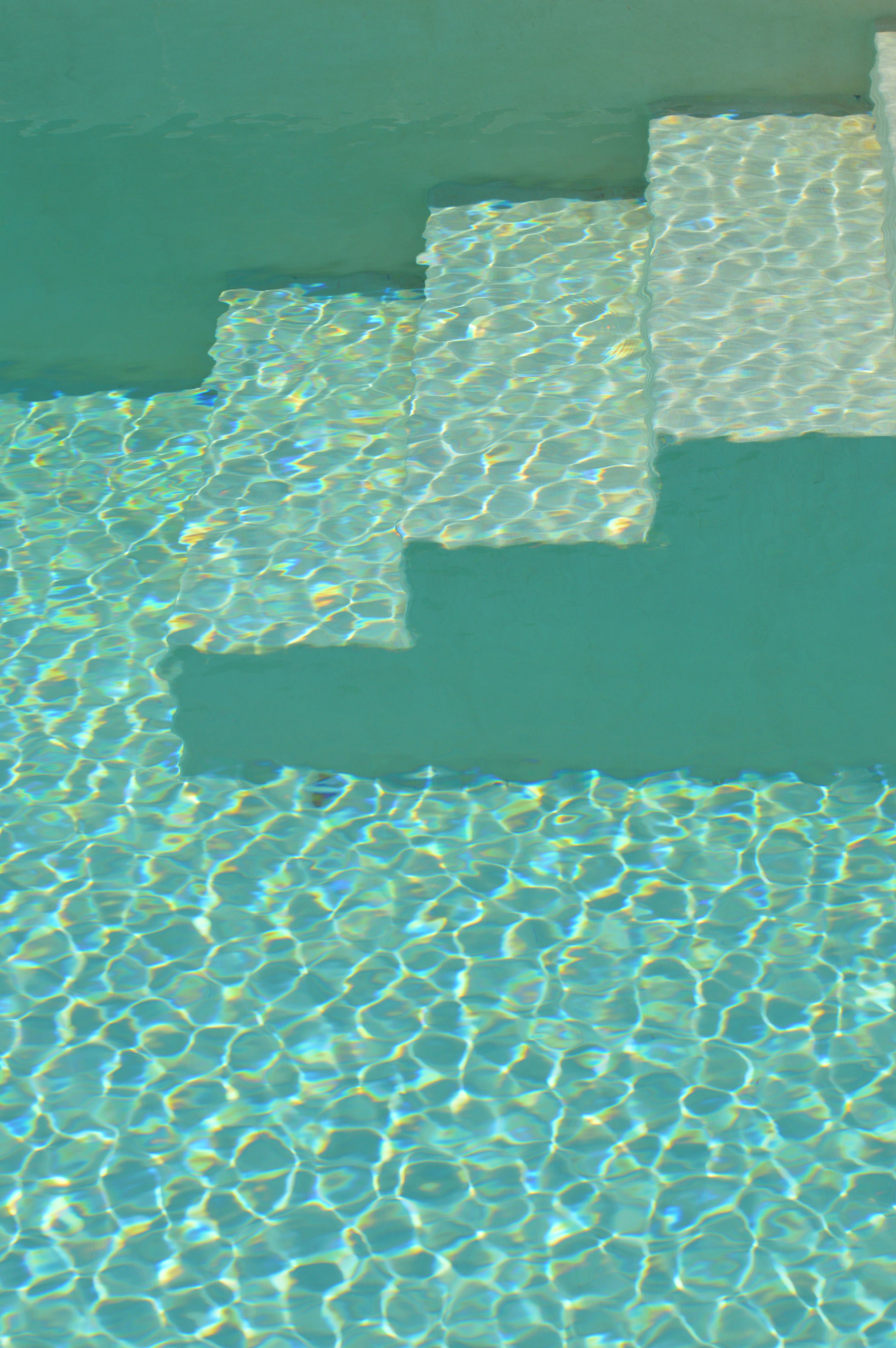 DSC_0412.jpg