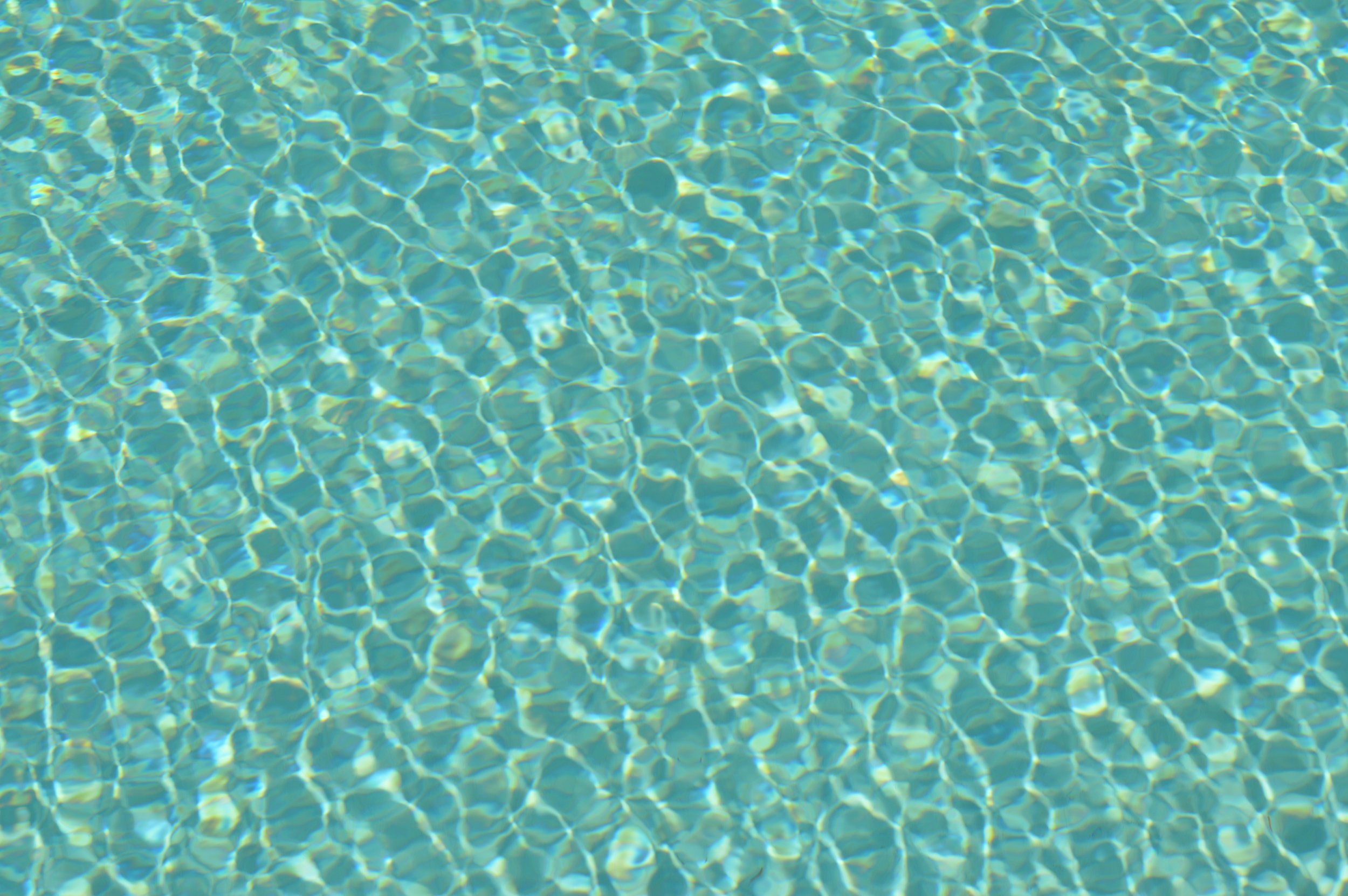 DSC_0413.jpg