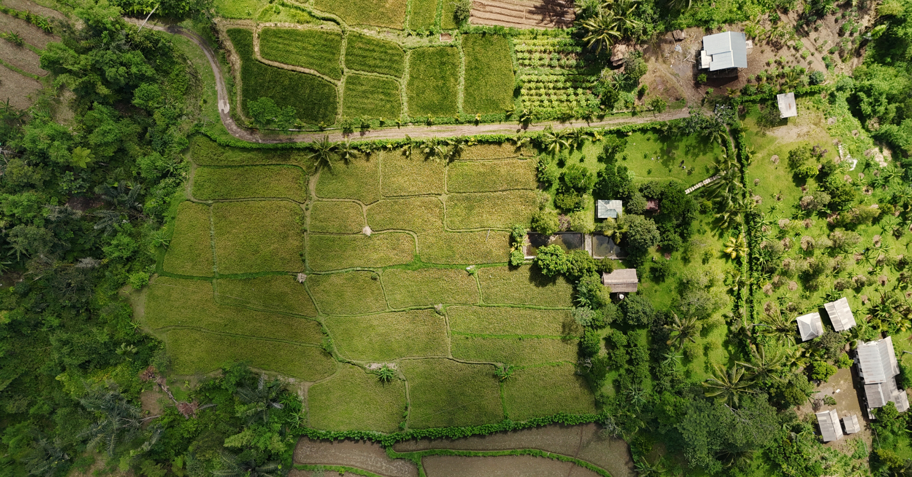 Lombok Has a Funny Problem: Too Much Space