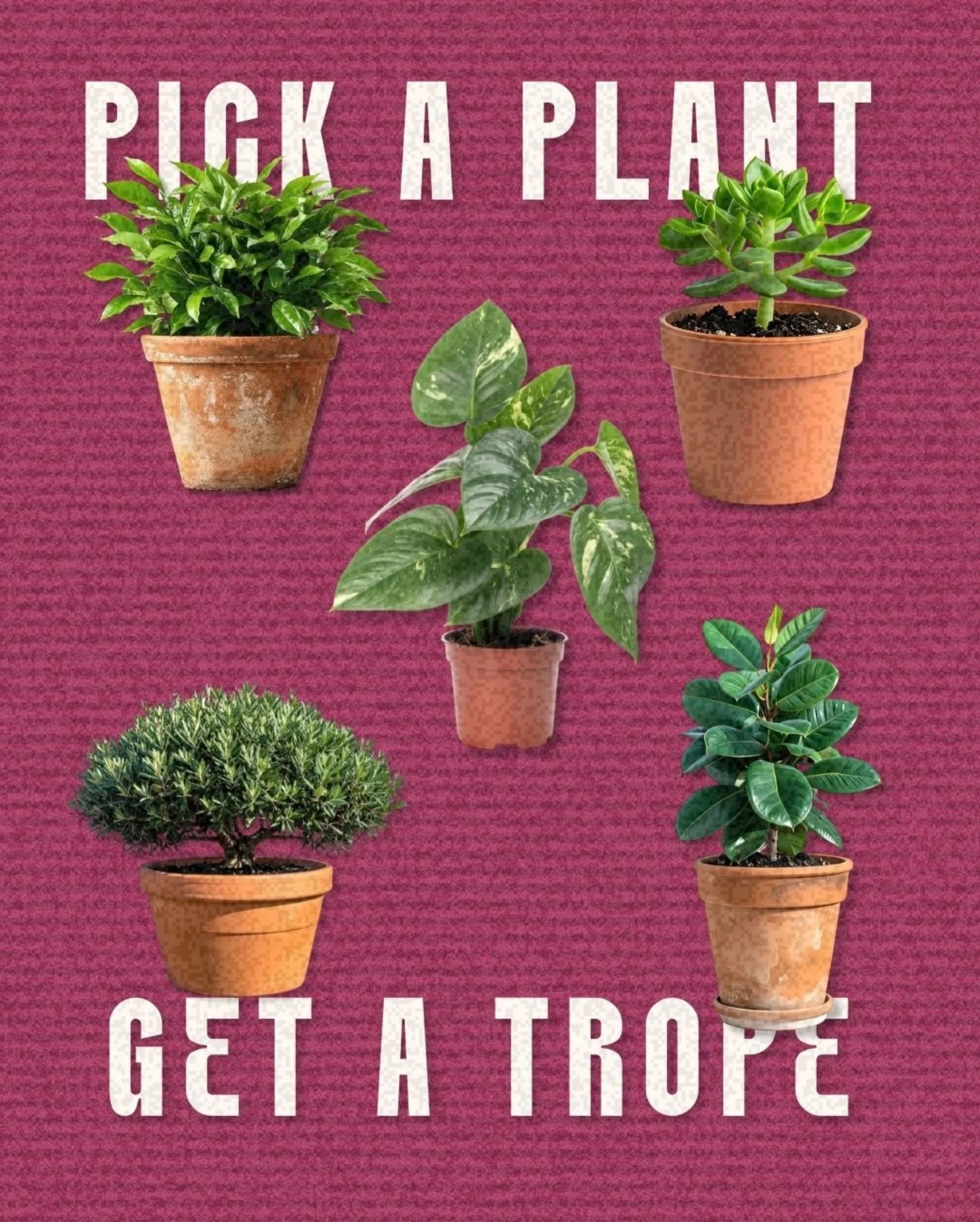 Venus would LOVE this post! (She&rsquo;d probably be offended by the Venus flytrap not being included, though) 

I wanted to give you some fun tropes that I think have not been announced before! We are getting closer to the day you all can finally me