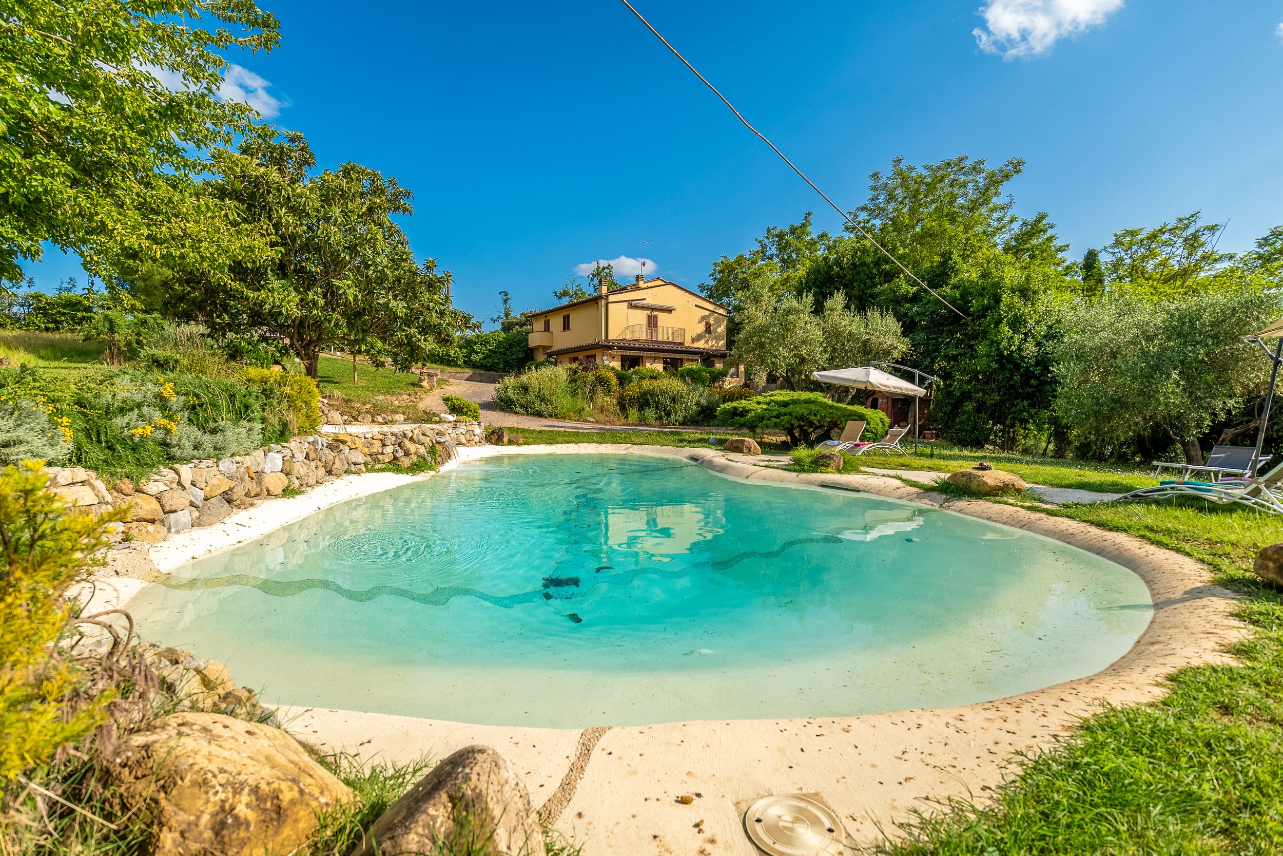 A backyard swimming pool surrounded by greenery, including trees and bushes, with a house in the background, a cloudy blue sky, and lounge chairs on the grass.