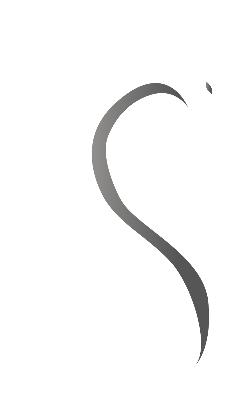 Logo do Grupo Synergia Capital
