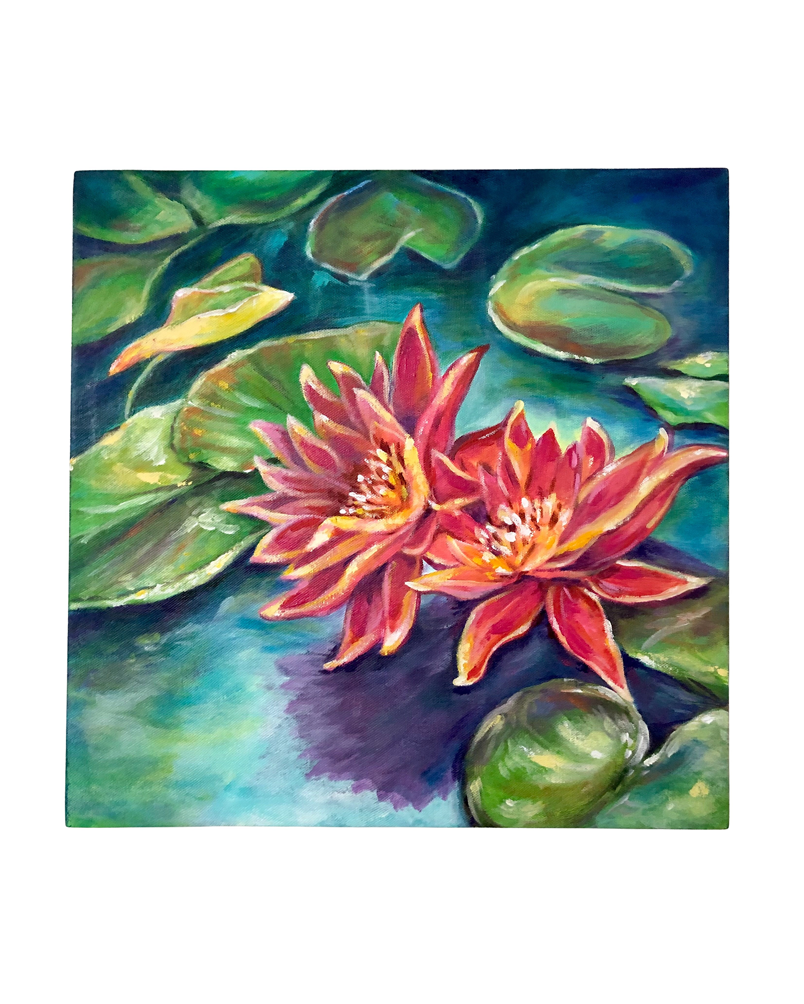 Water Lily Twins
