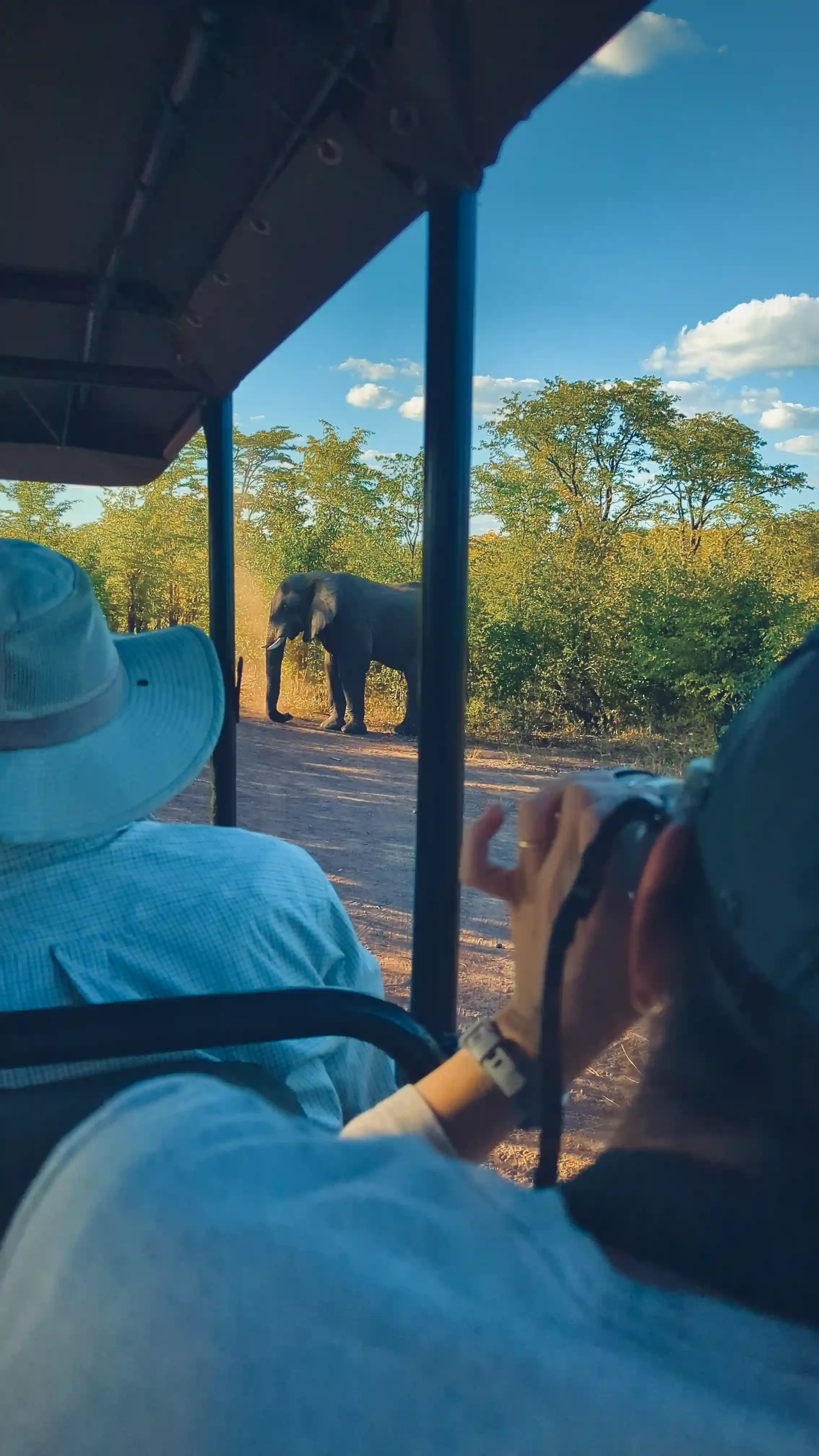 Tourists in a vehicle observing an elephant in the wild, surrounded by bushes and trees under a blue sky.