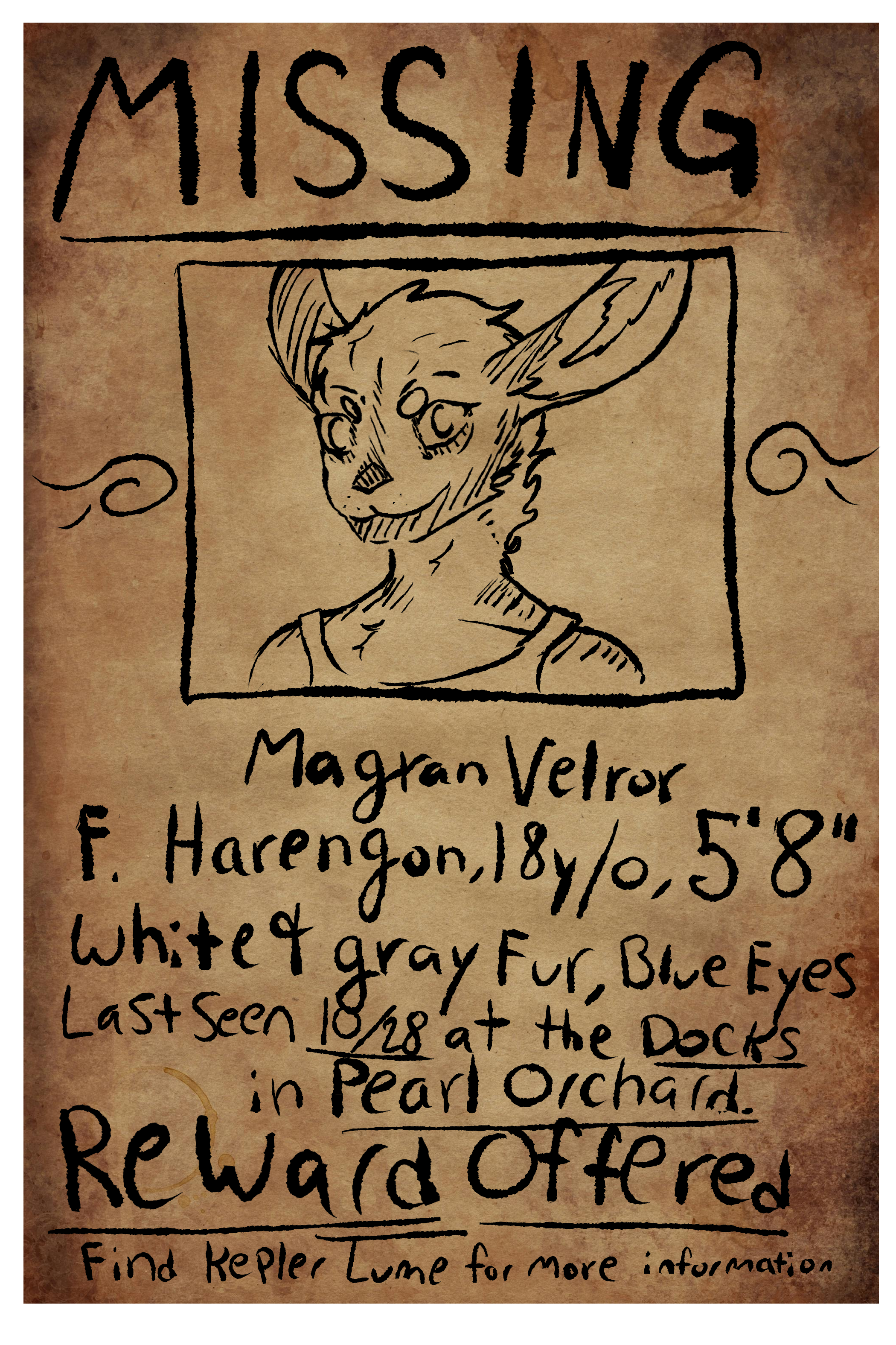 Magran's Outdated Missing Poster.png