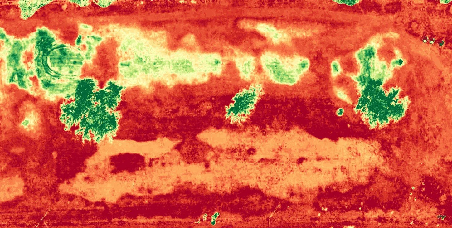 Infrared satellite image showing vegetation and terrain in shades of red, green, and orange.