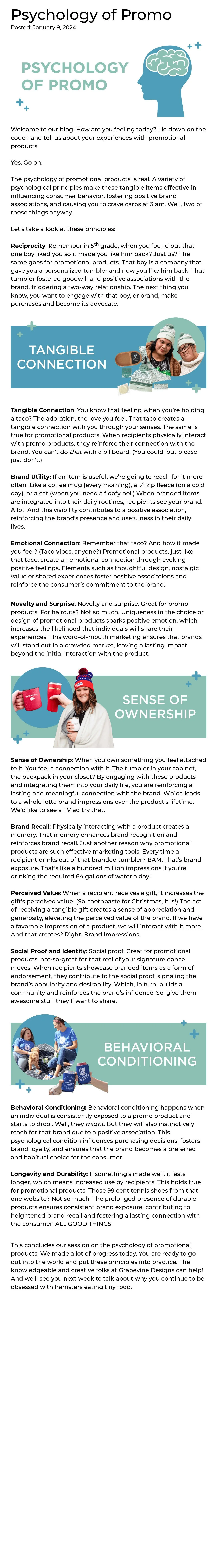 Blog post with an illustration of a brain inside a head with the title The Psychology of Promo
