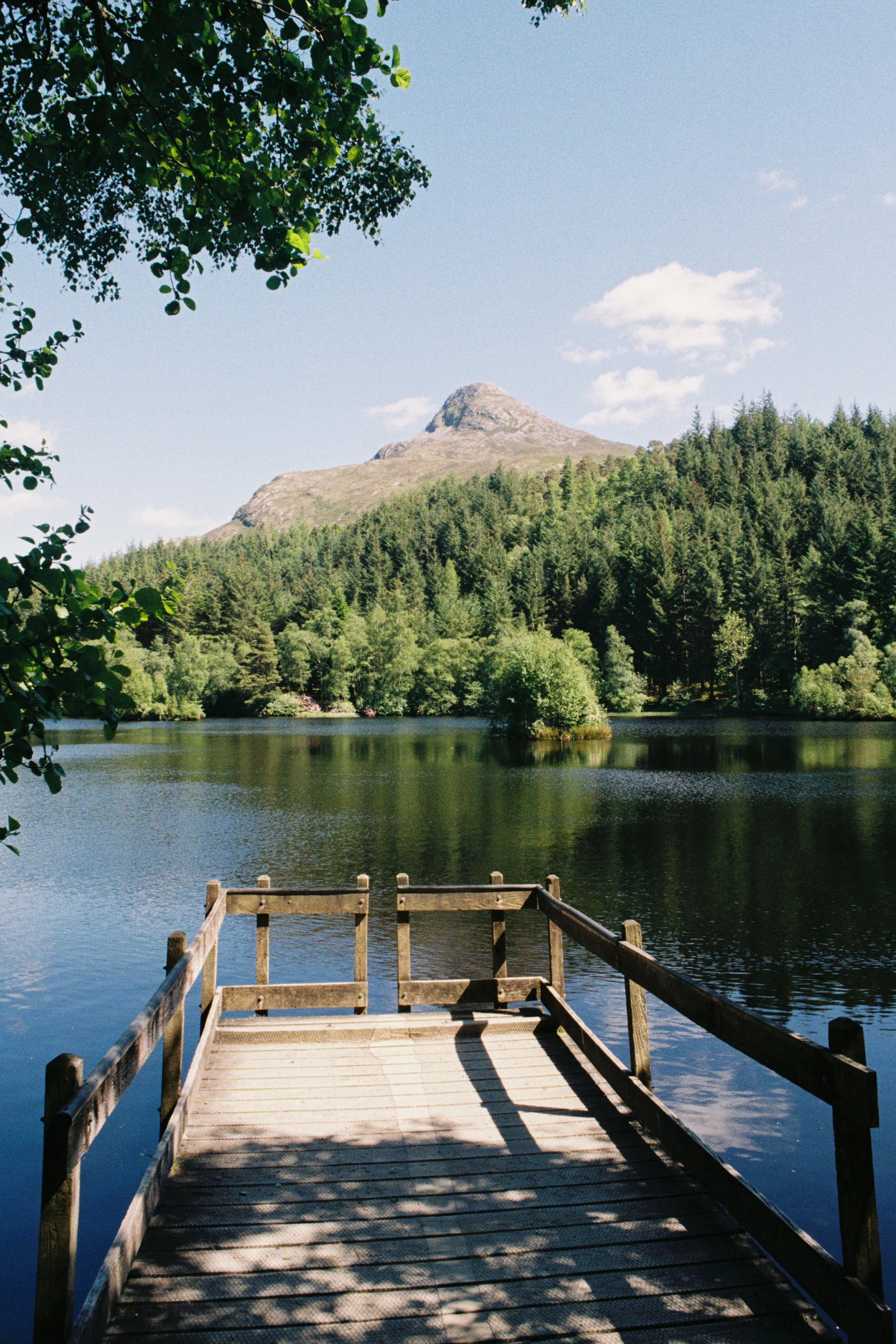 A wooden dock extends over a calm lake with lush green trees on the opposite shore. In the background, a mountain with a rocky peak rises against a clear blue sky with a few white clouds. Overhanging branches with green leaves frame the top left corn