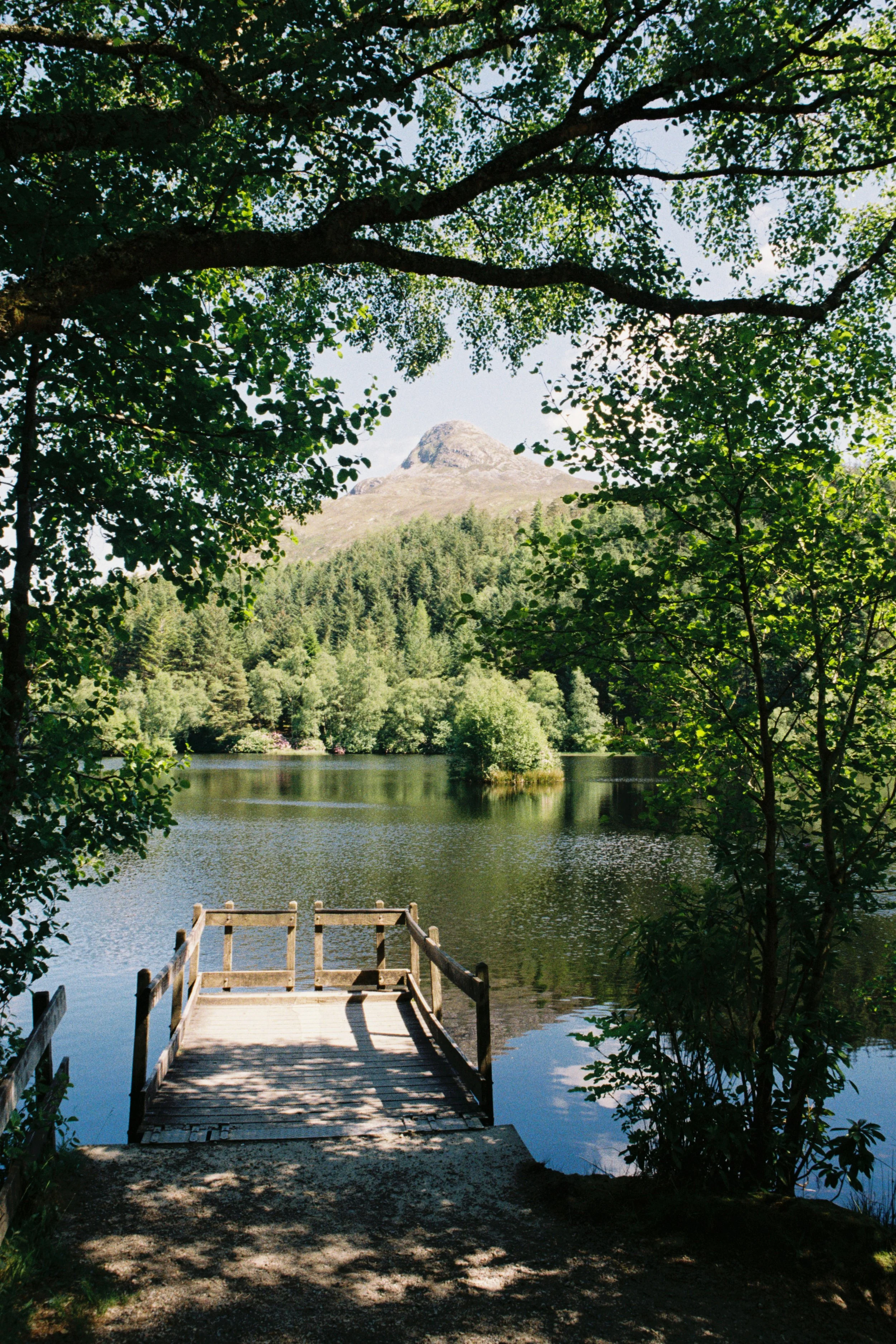 Wooden dock leading to a calm lake, surrounded by trees with a mountain in the background.
