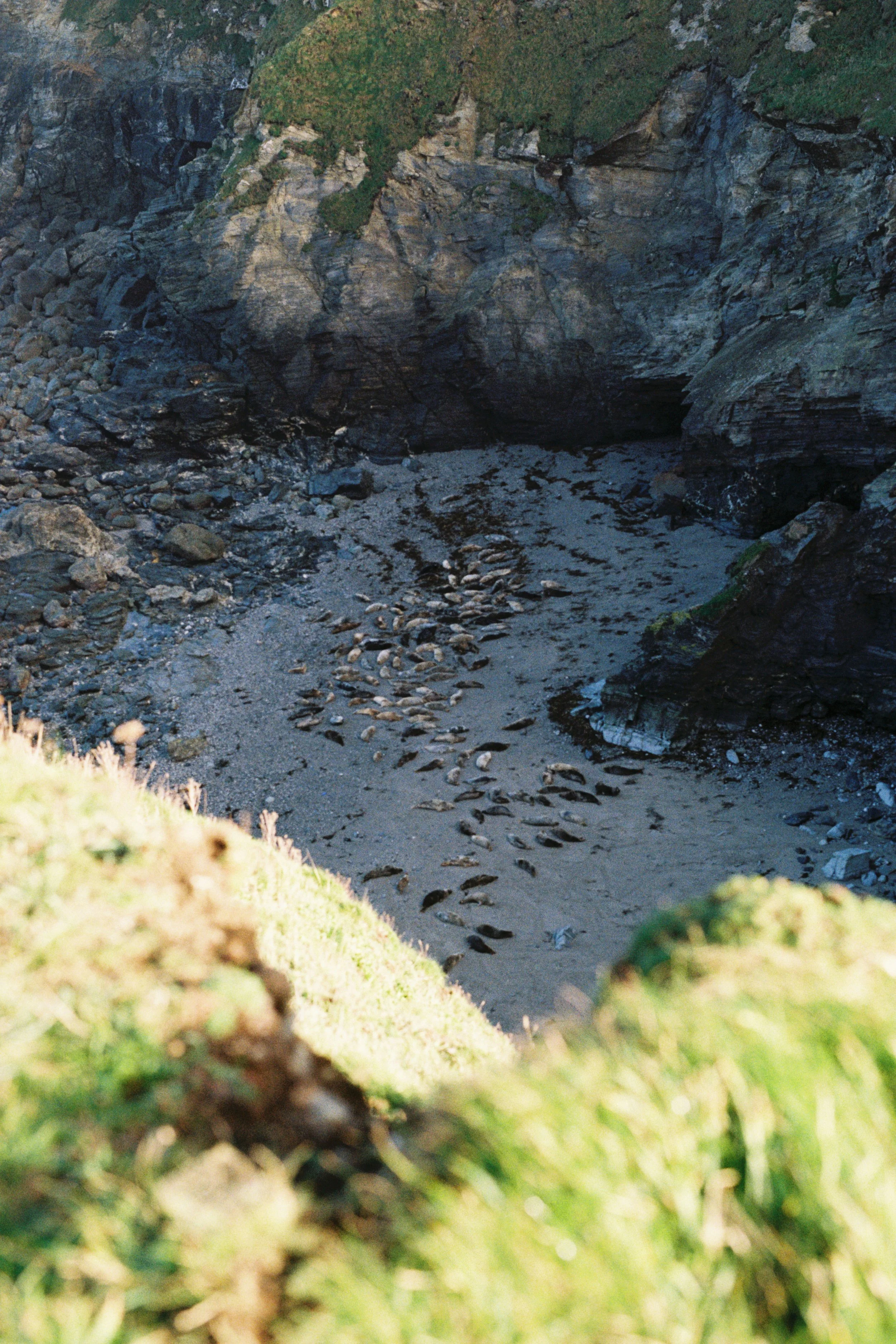 A rocky coastal area with cliffs, rocks, and some greenery at the top. The sandy beach at the bottom has scattered stones and pebbles.