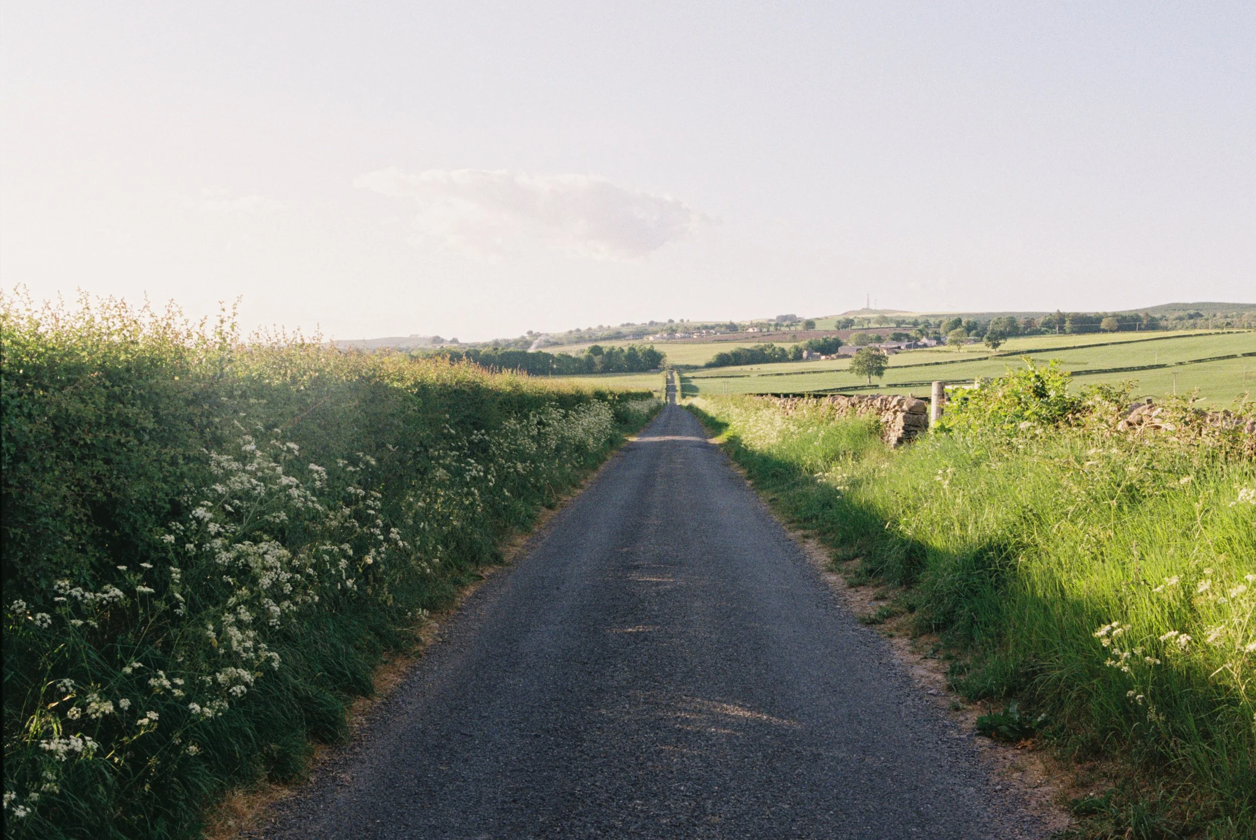 A rural gravel country road stretching into the distance, flanked by lush green hedges and fields under a bright sky with some scattered clouds.