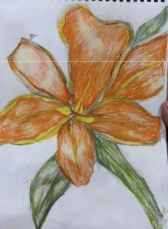 Jennah A. (7th Grade)
