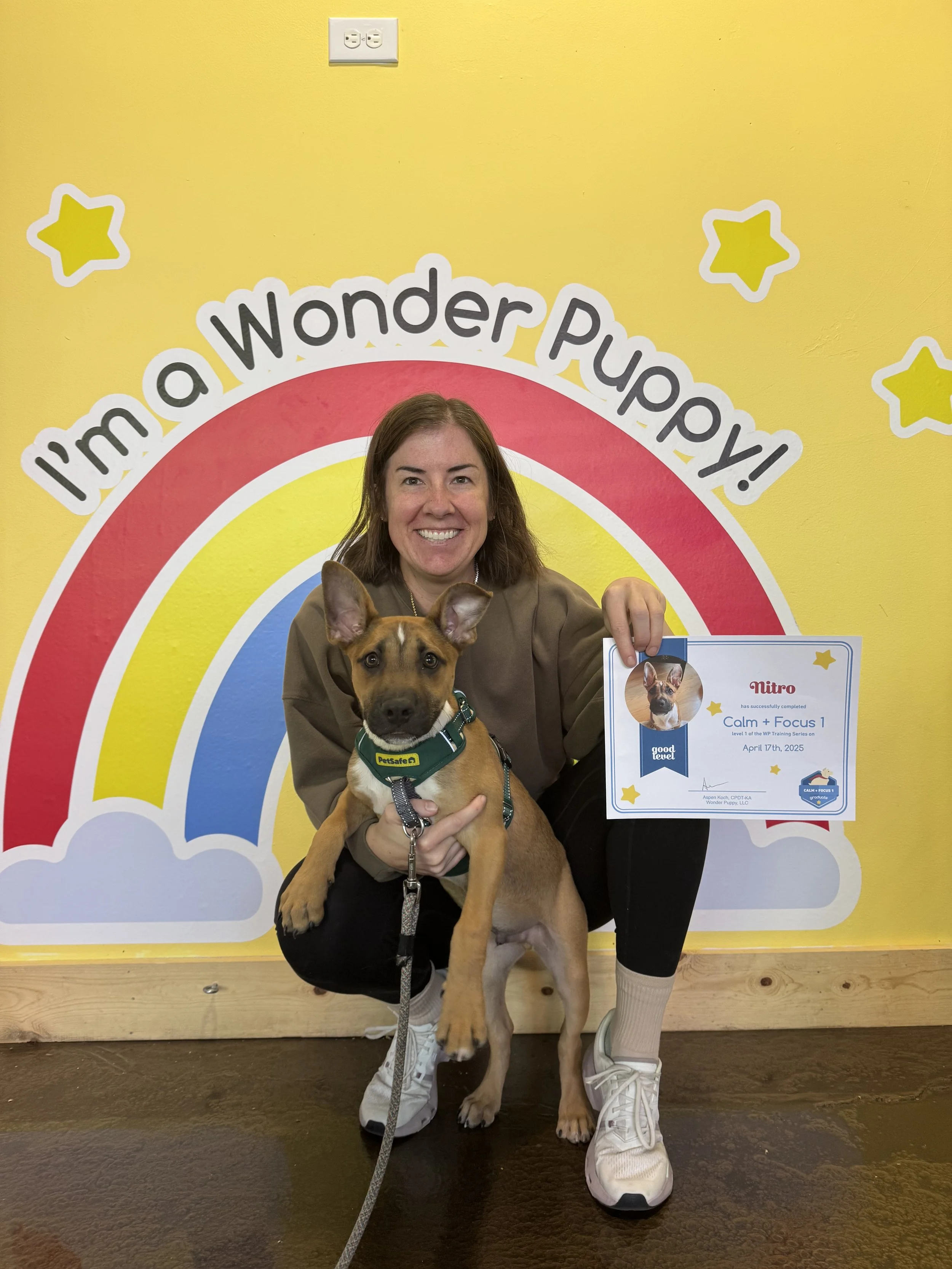 IMG_4803 - Caitlin Maxwell.jpeg