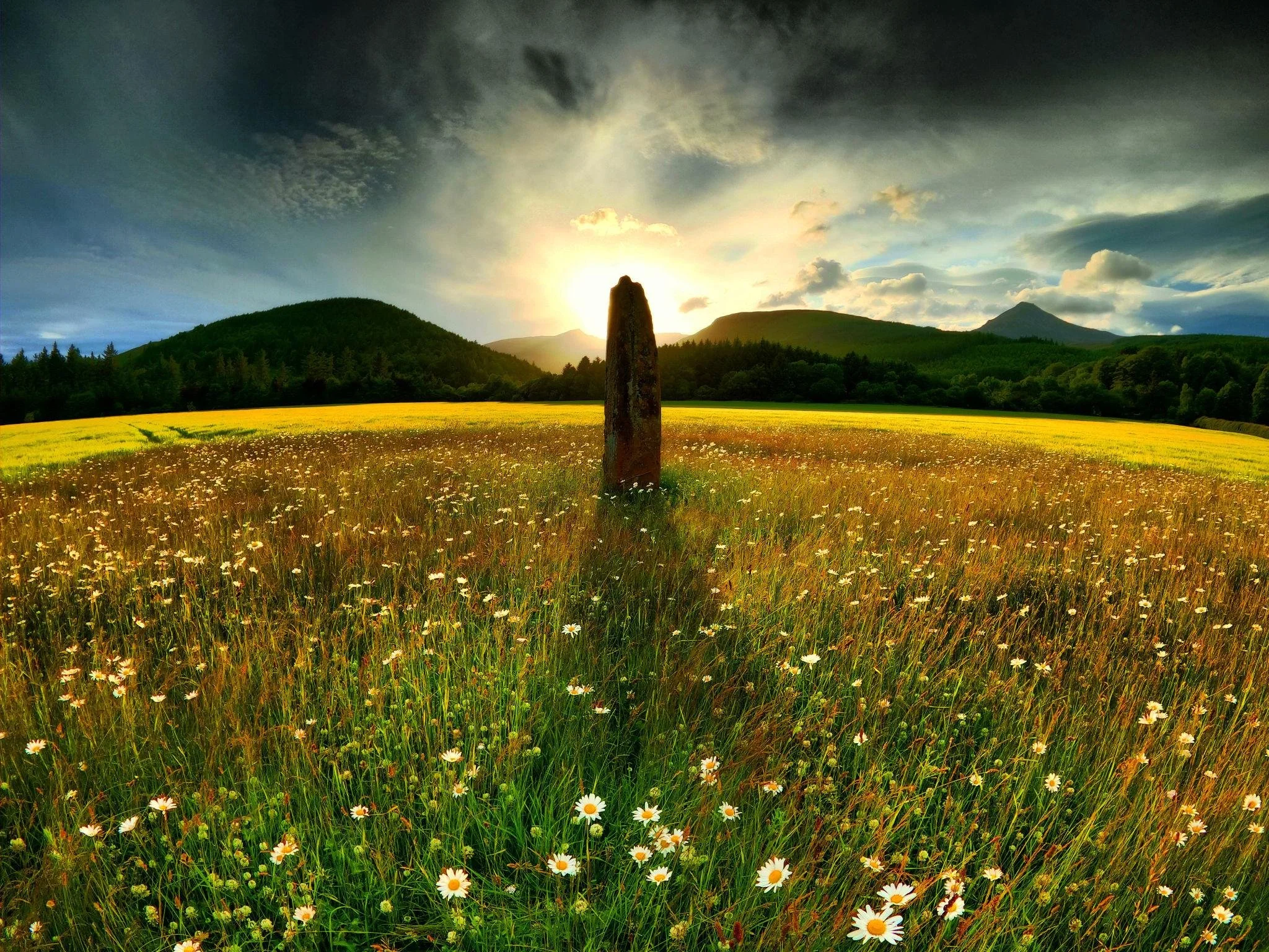 The Summer Solstice: The Height of Yang, the Birth of Yin, and what Your Nervous System Needs Now