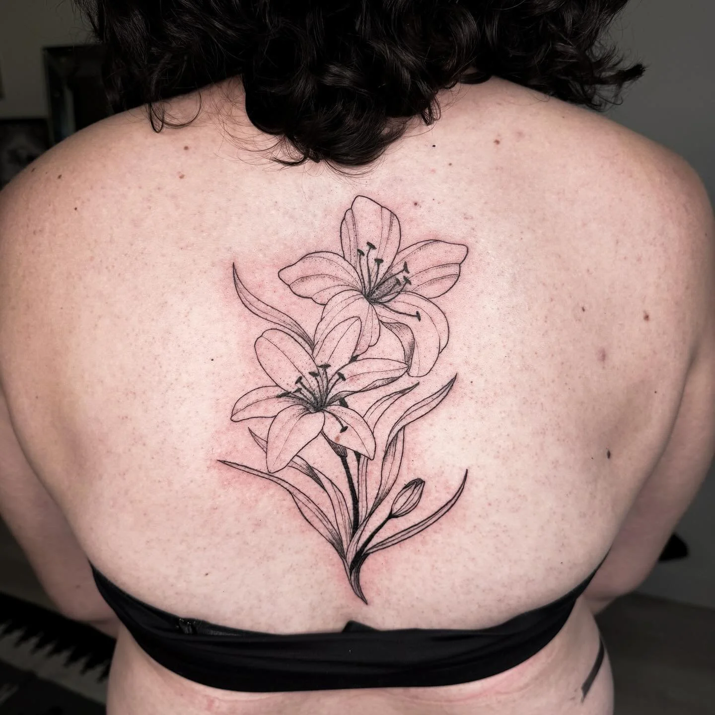 Hearing about your travels, major life changes and dreams for your existence are some of the best parts of my day. These two are rocking it, and their backs look f*cking sick. 

@gullys.tattoo 
@crybabytattooproducts 
@wjxcartridge