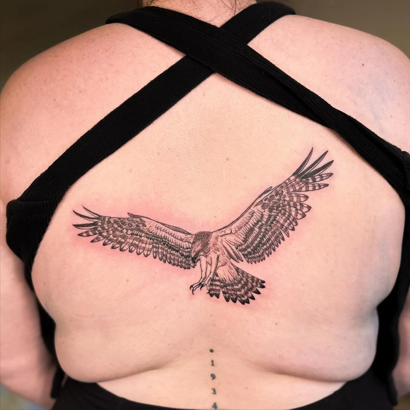 Give me a bird and you know I&rsquo;m going to have a fantastic time. Osprey back piece 🦅