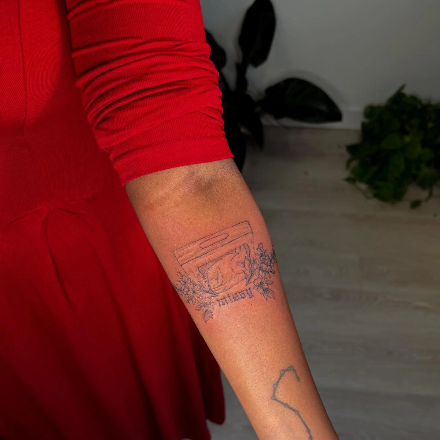 Cooked birds and birds on skates and protected birds and the tiniest birds in the world. I love them all 
Stay tuned for books opening for 2026 soon 💕