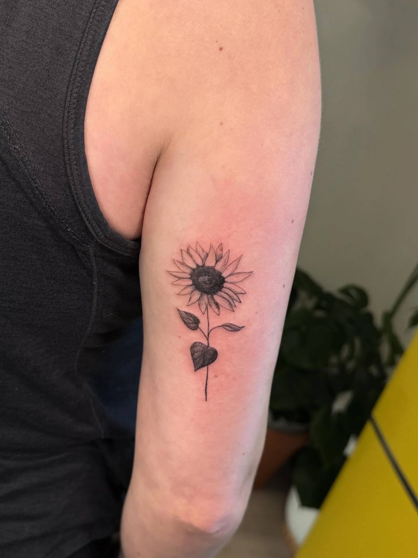 Lightly shaded flora and fauna on some wonderful clients 🕊️🌻 

#sunflowertattoo #mushroomtattoo