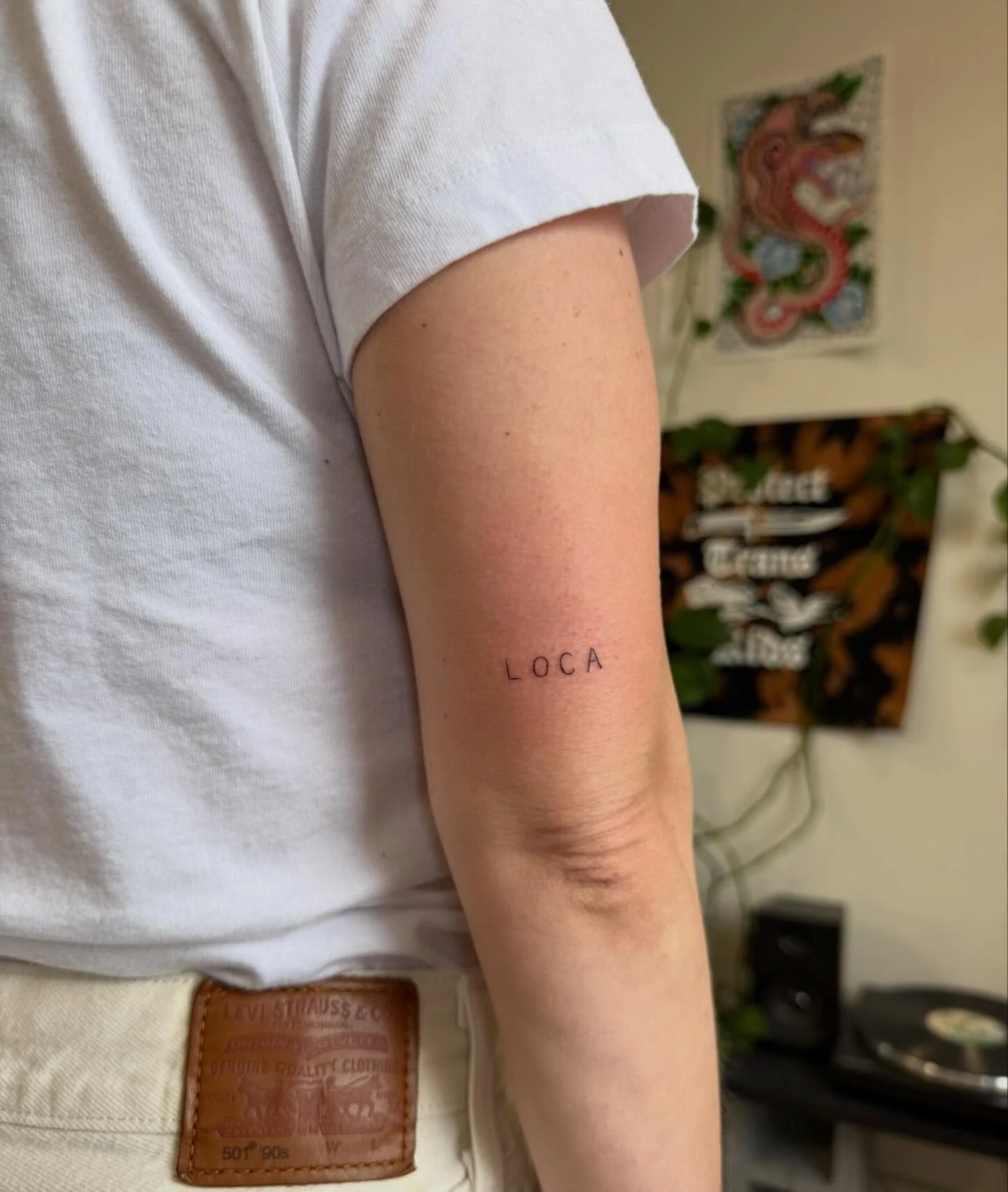 Teeny tiny scripties and pets 💕