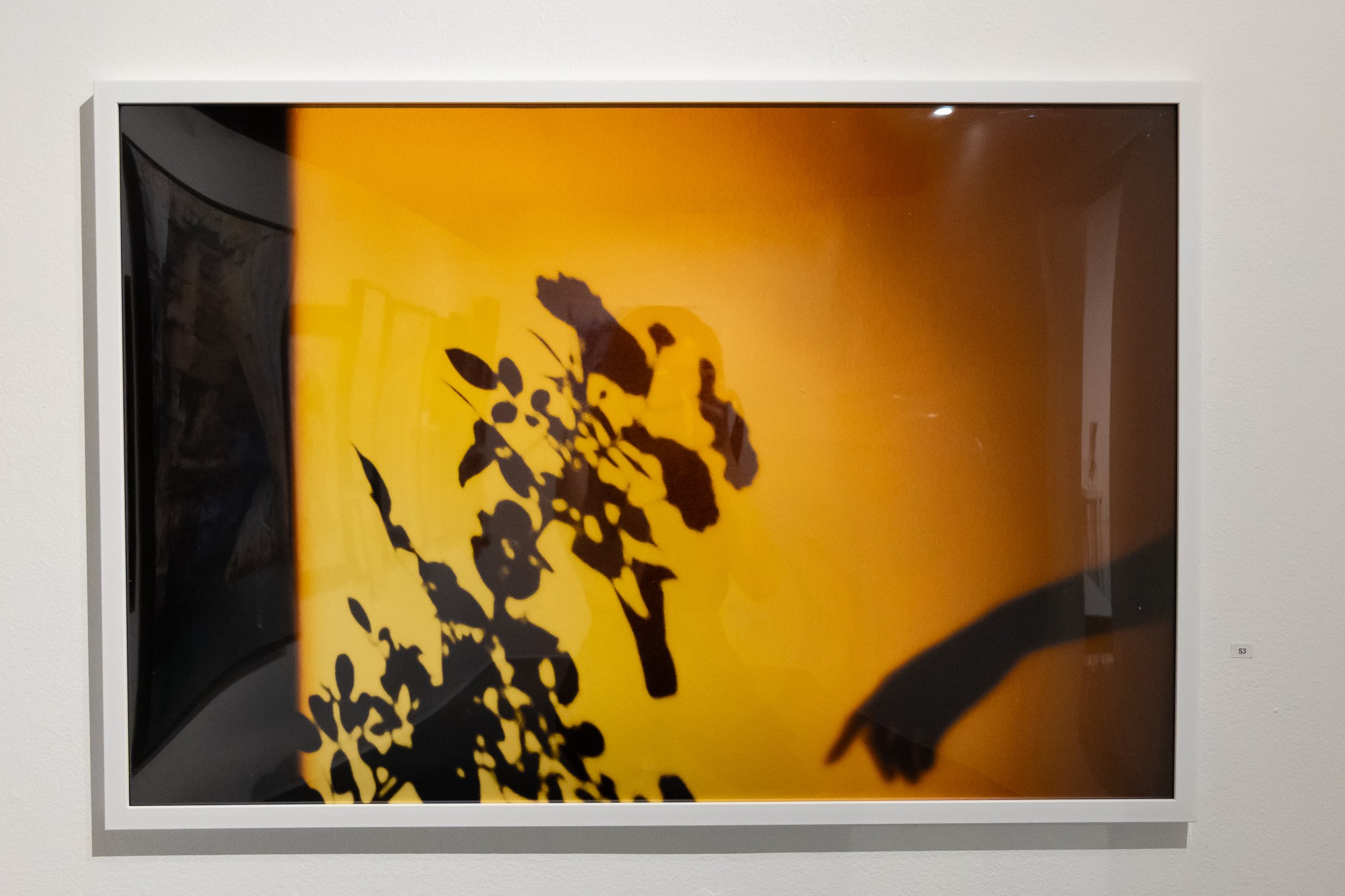 Shadows by Evelyn Linh Truong