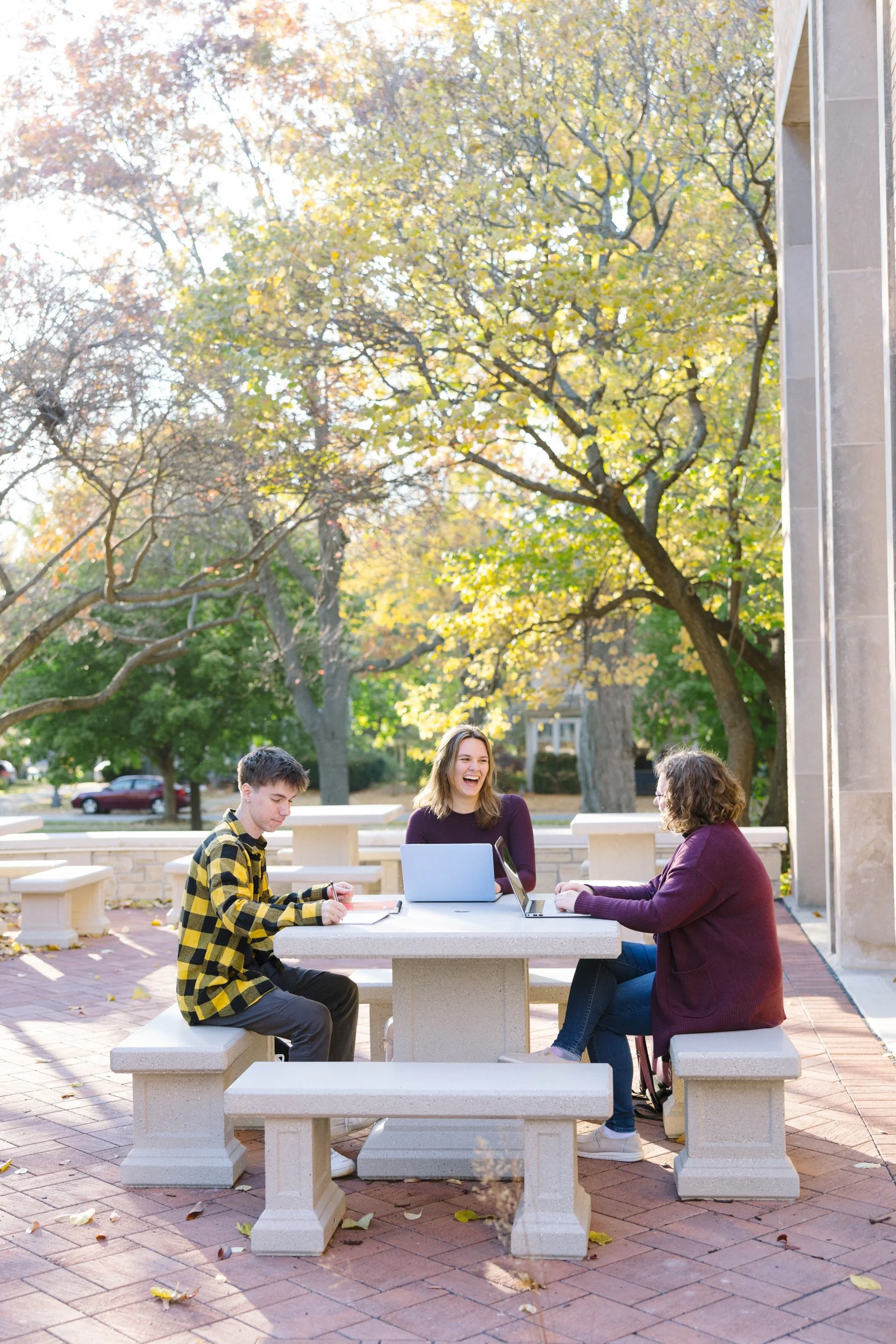 fall-higher-education-marketing-imagery