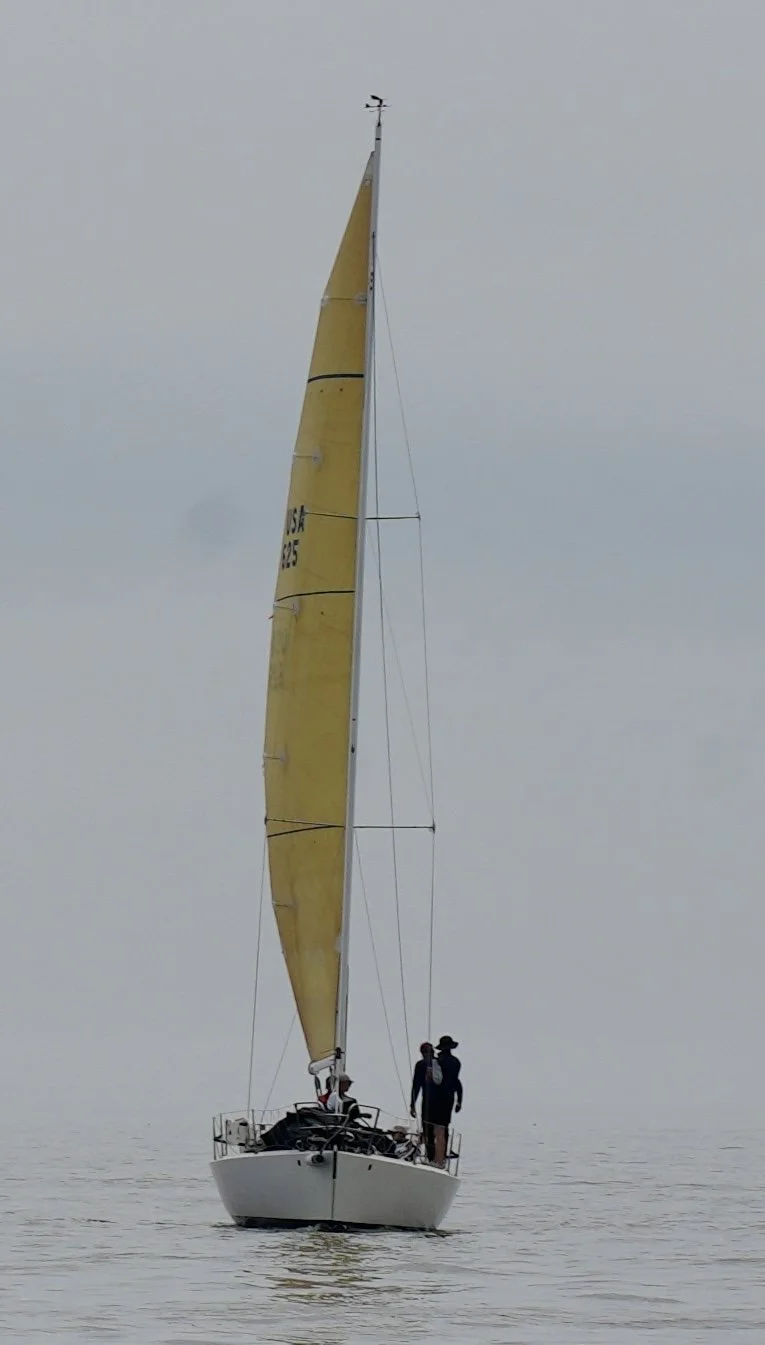 _DSC8062.jpeg