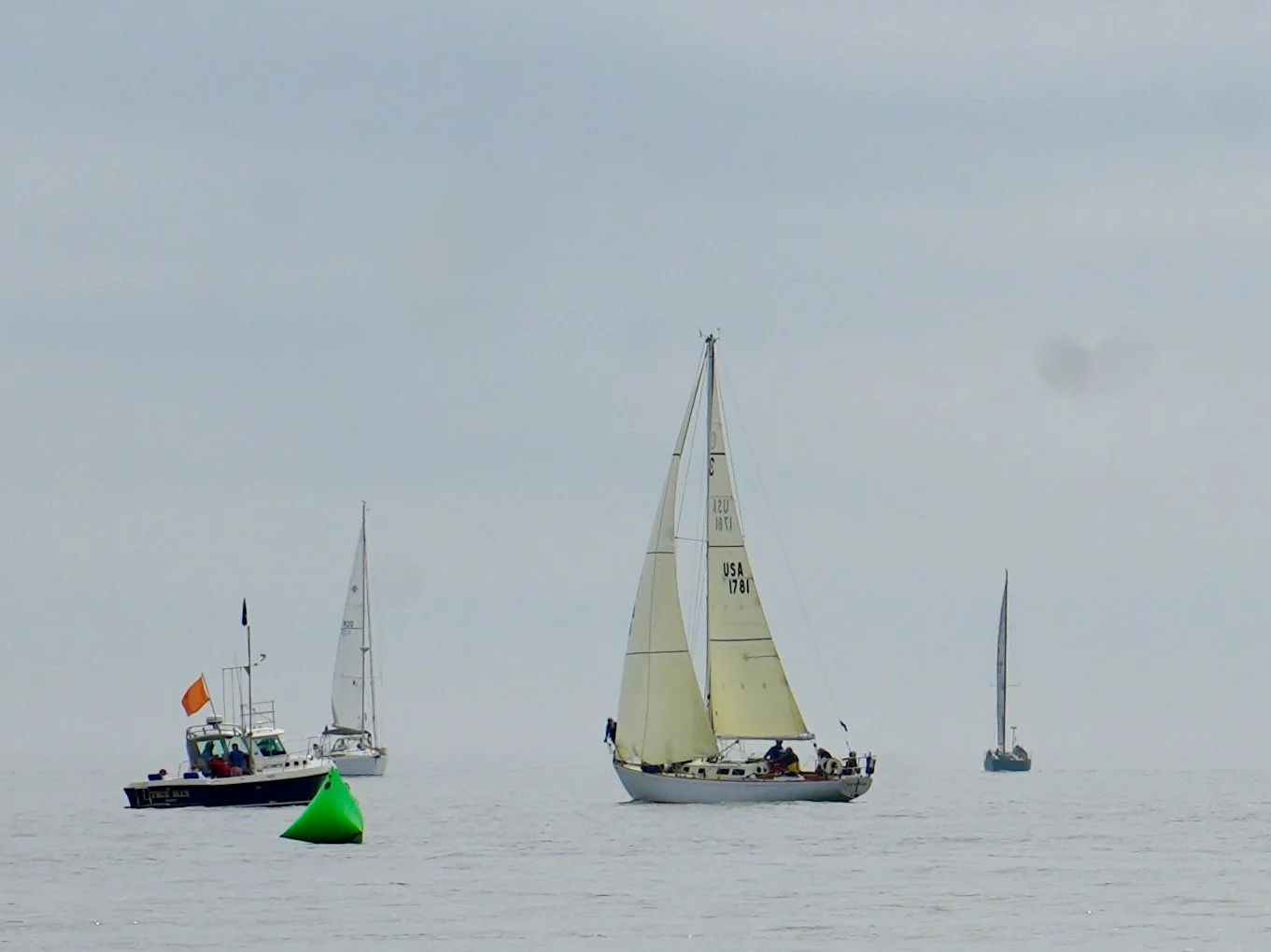 _DSC8065.jpeg