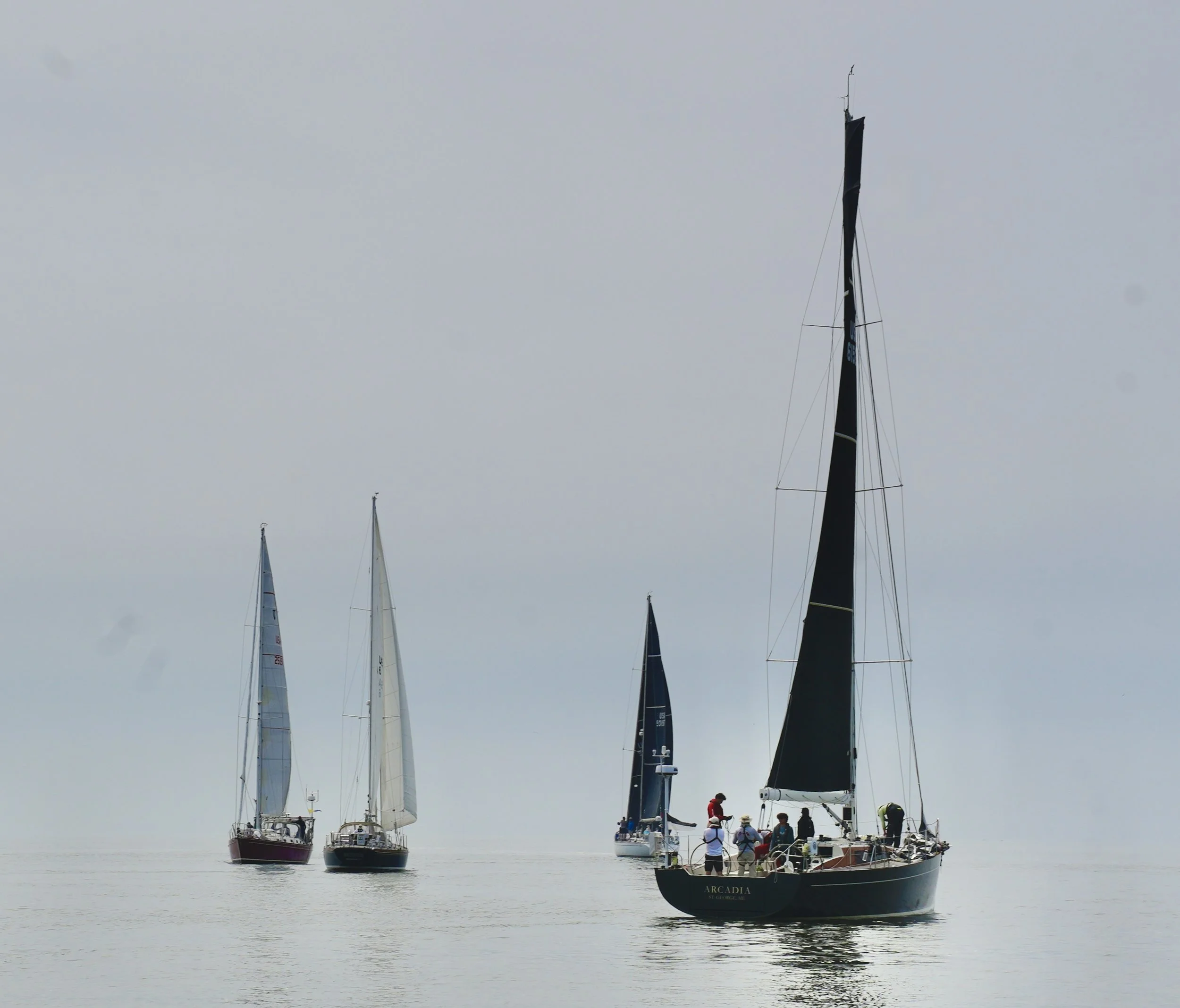 _DSC8085.jpeg