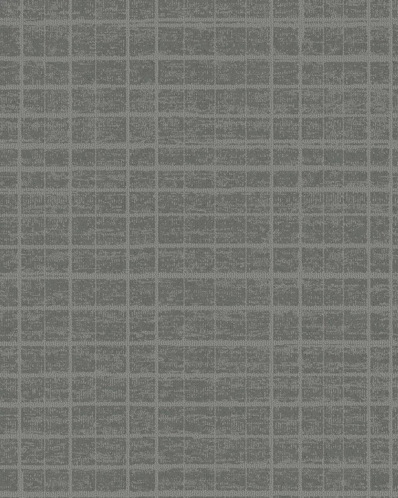 BT087129P006