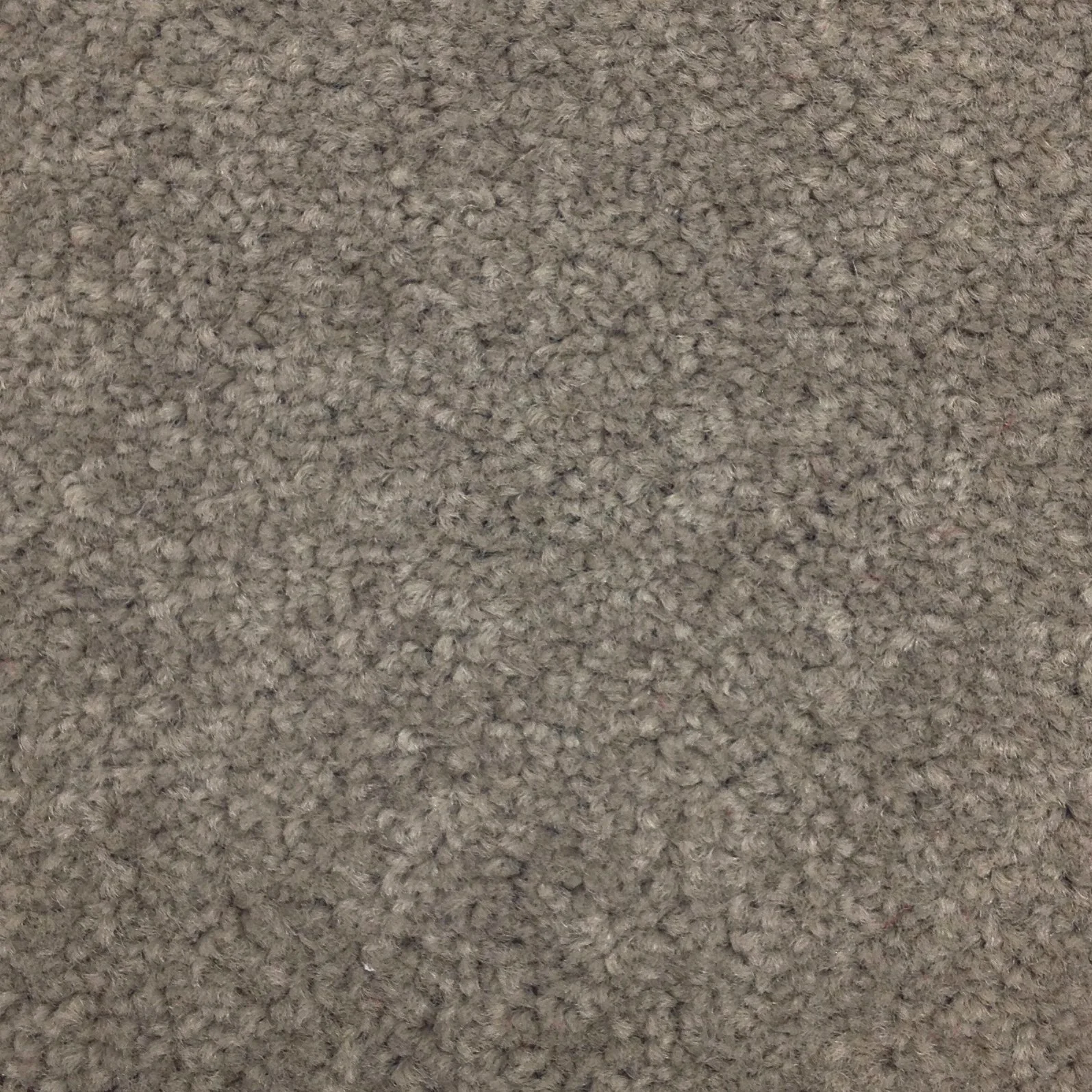 P704 Merry Beige