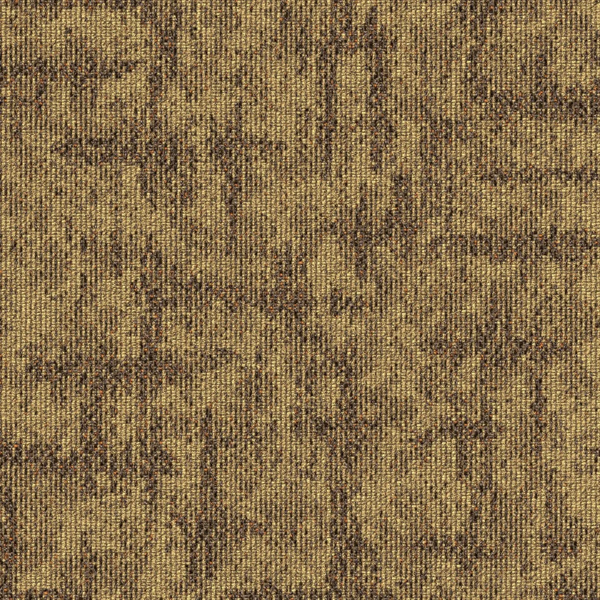 CA02 Elara