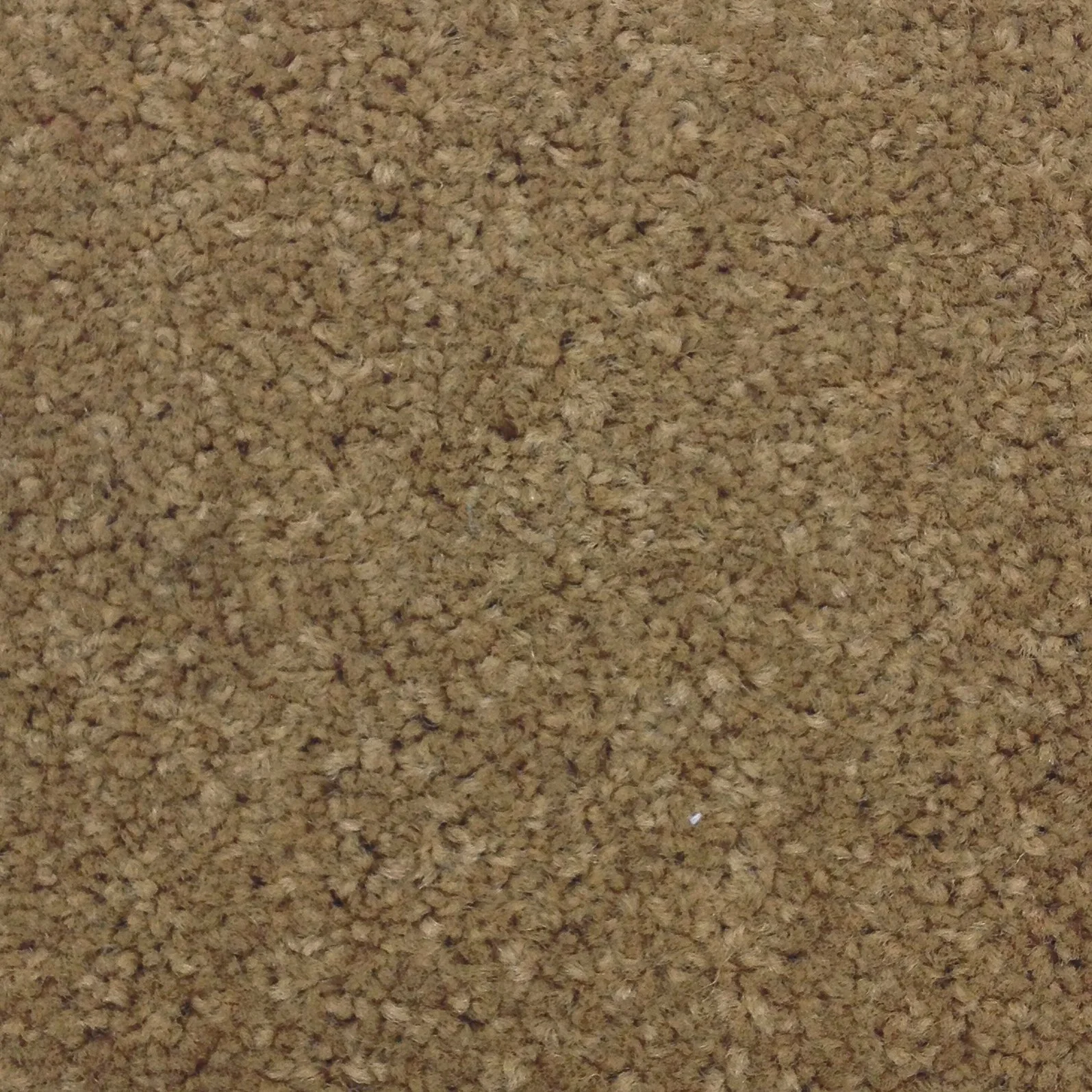 P701 Glister Gold