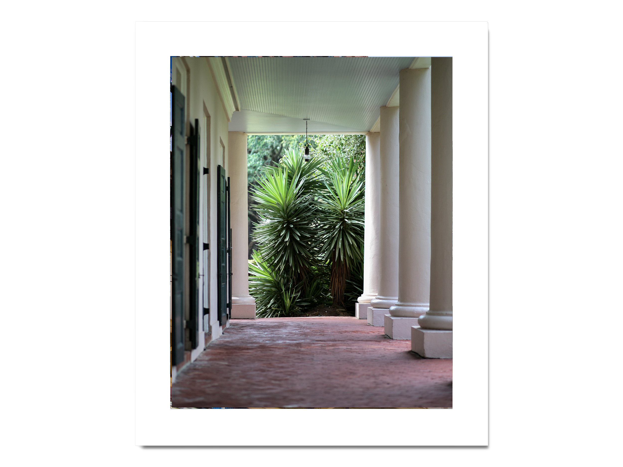 24_Louisiana_8x10P_matte.png
