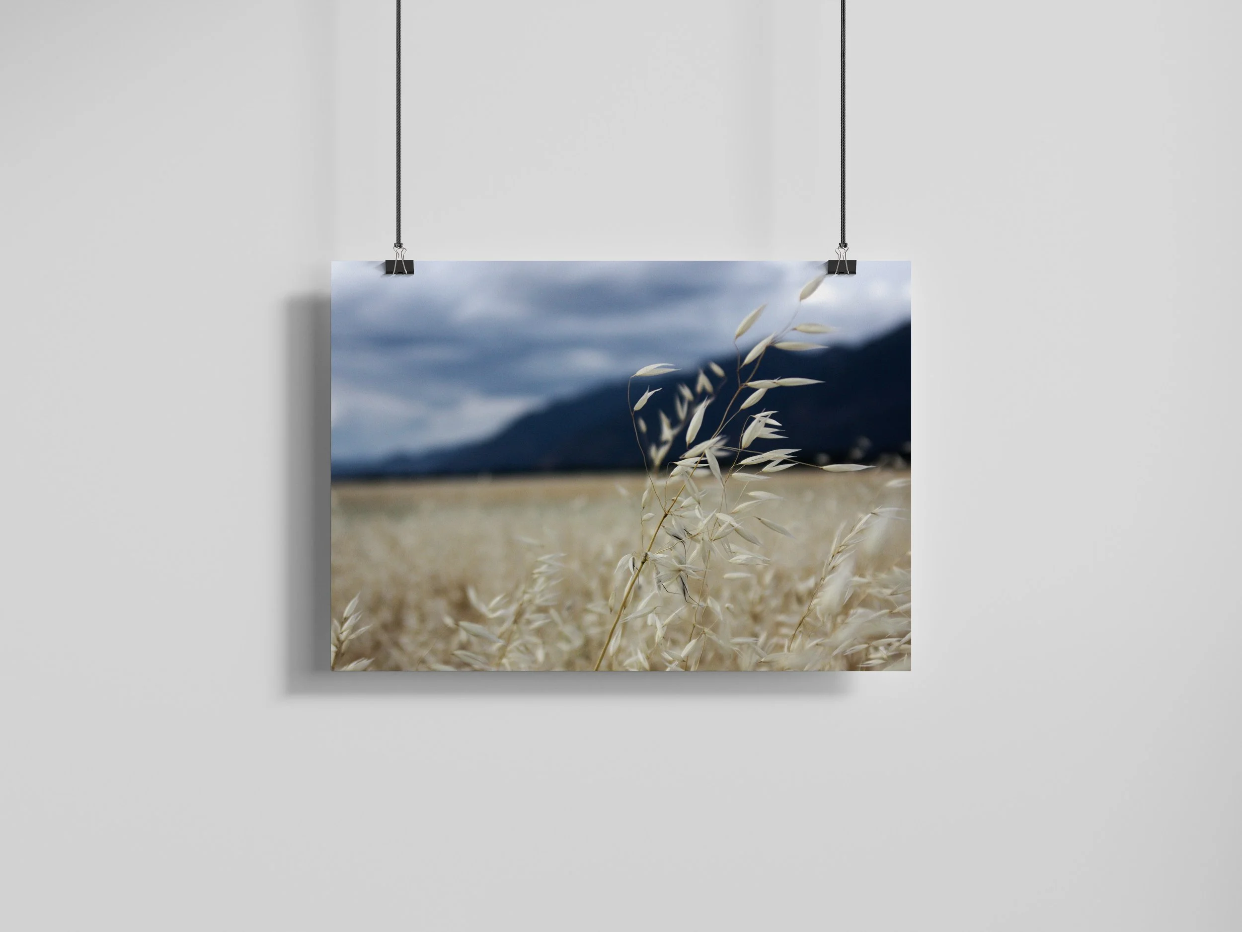 28_Montana_8x10L_clip hang.jpg