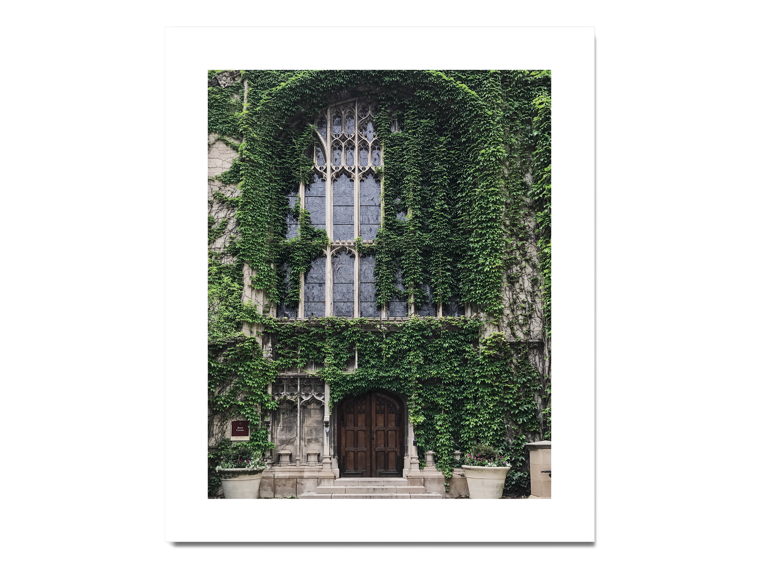 10_Chicago_8x10P_matte.png