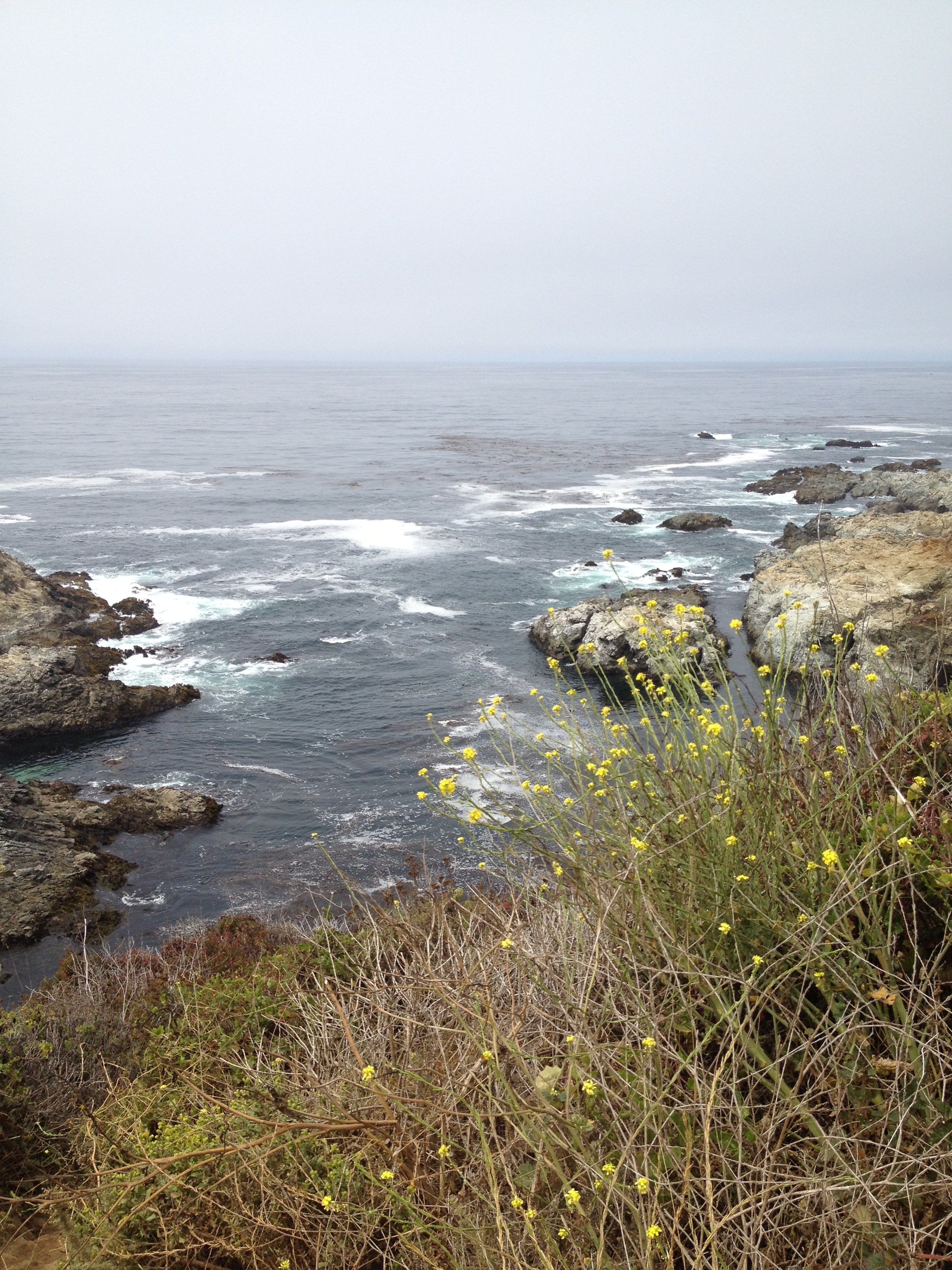 02_California_8x10P.JPG